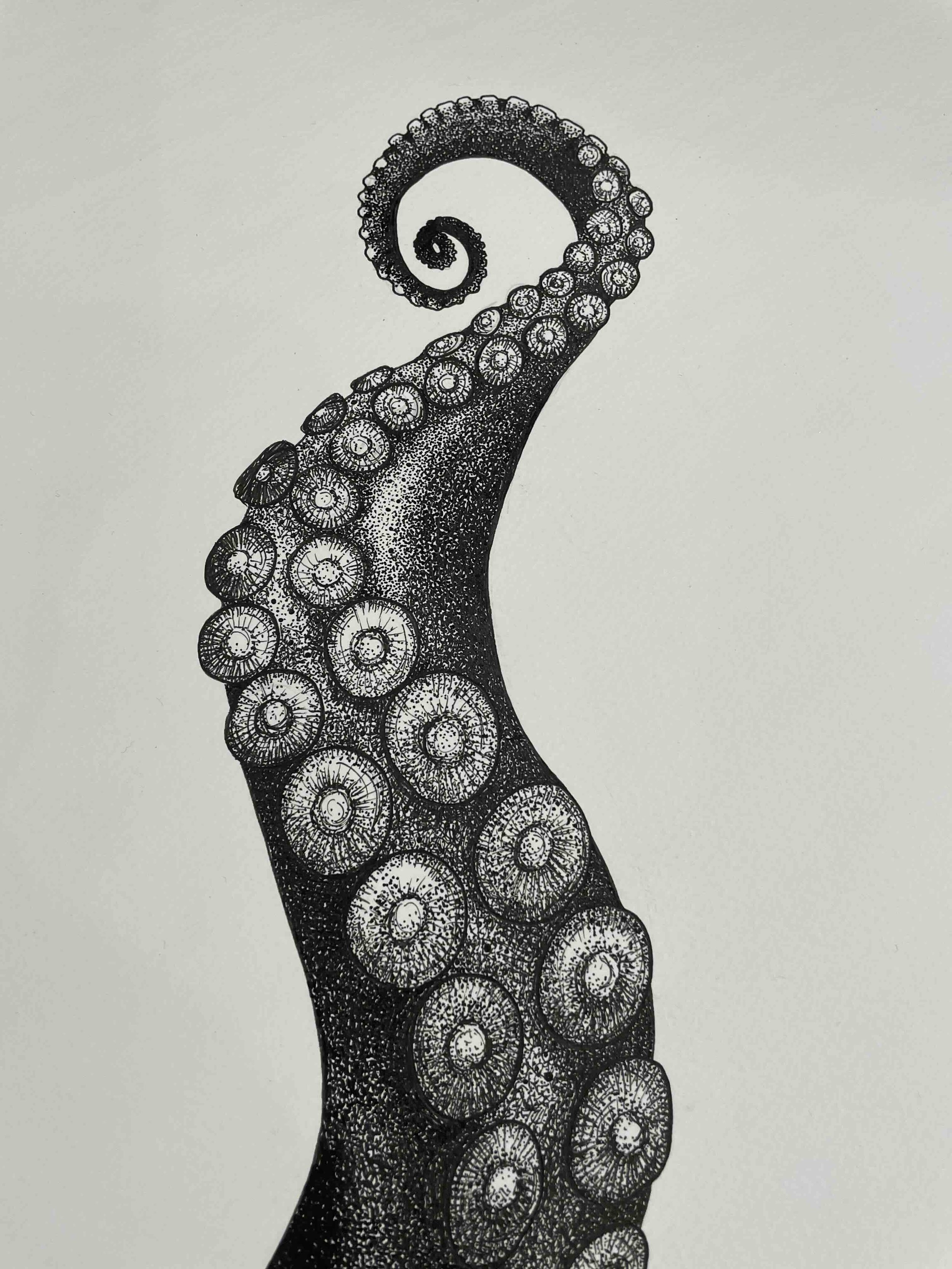 Tentacle © Lissy Marsh