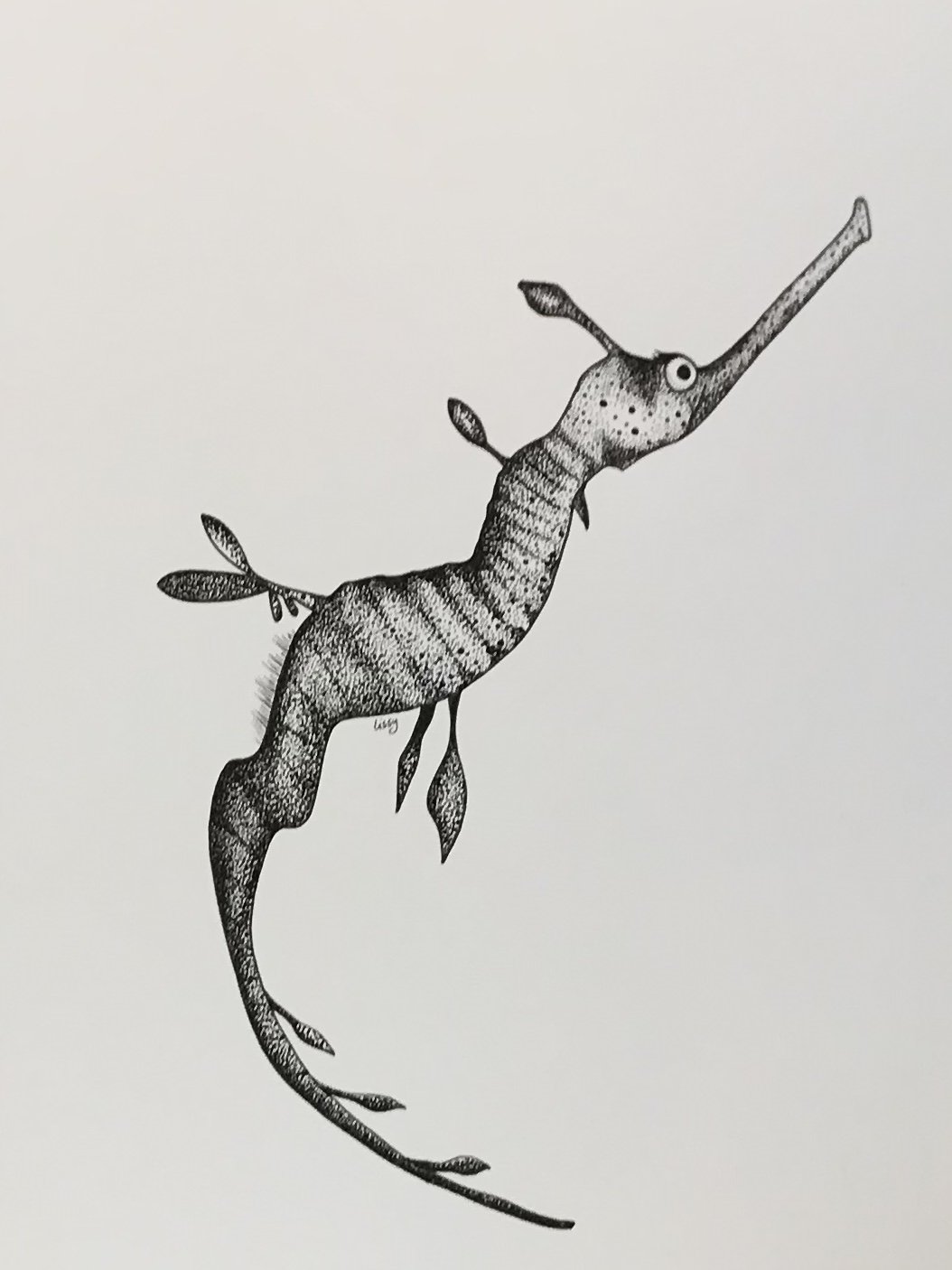©Lissy-Marsh-Sea-Dragon