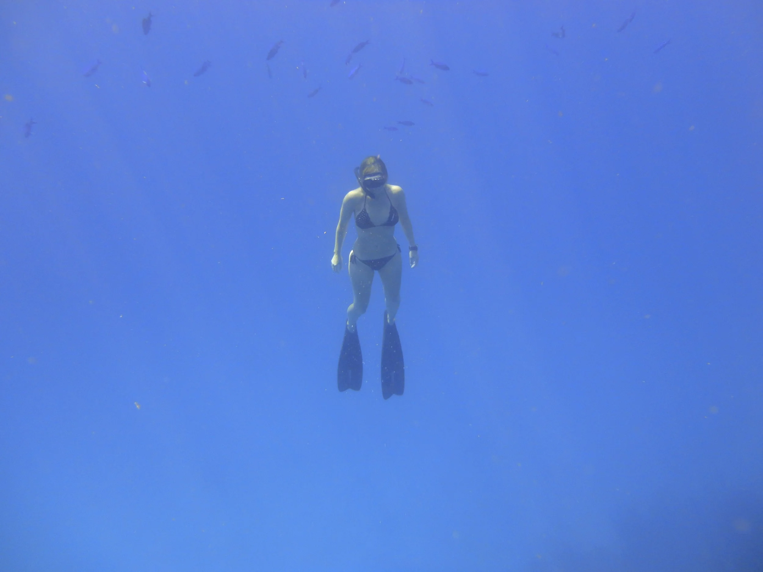 Lissy Marsh freediving in Bay Islands, Honduras