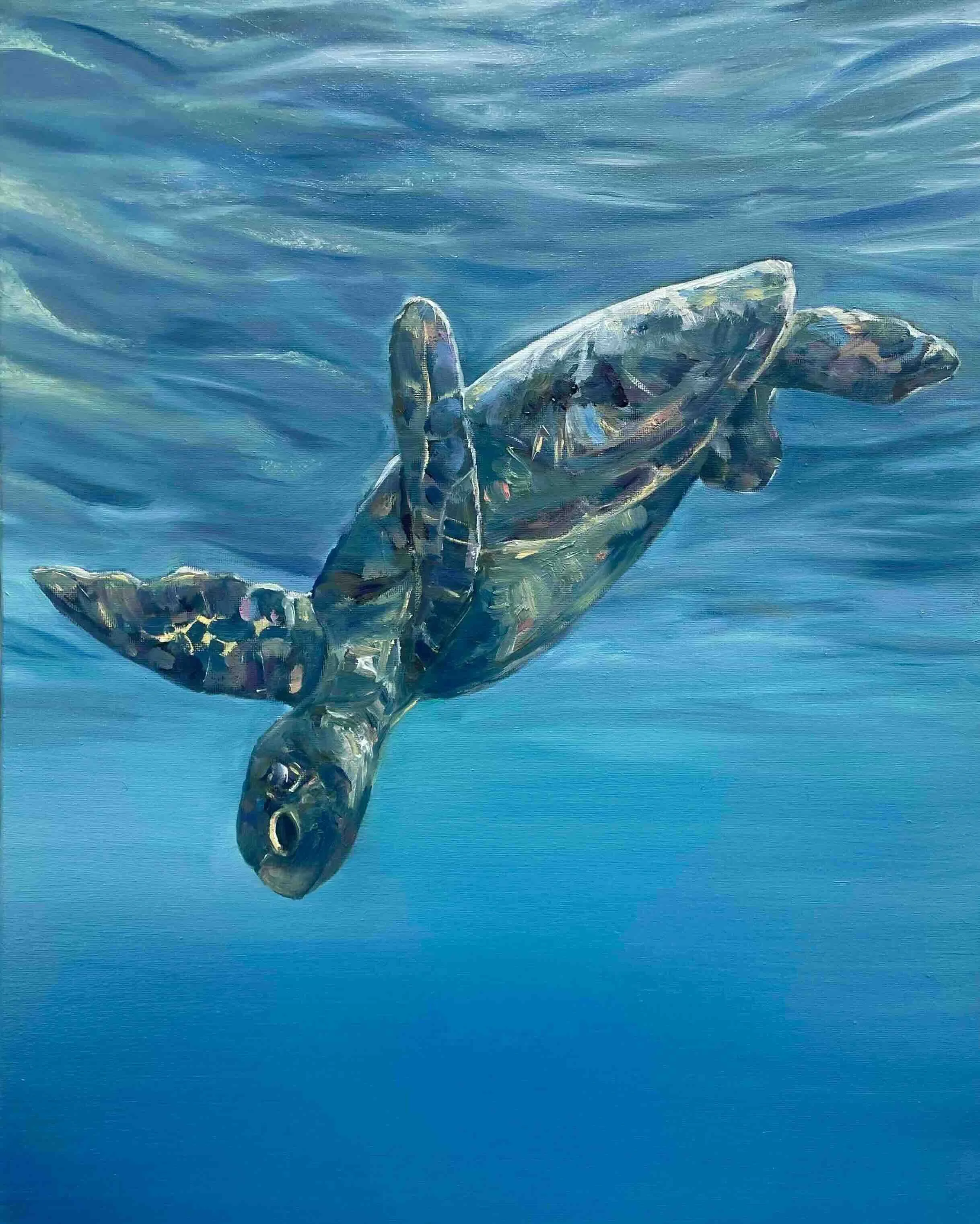 ©Lissy-Marsh-freediving-turtle