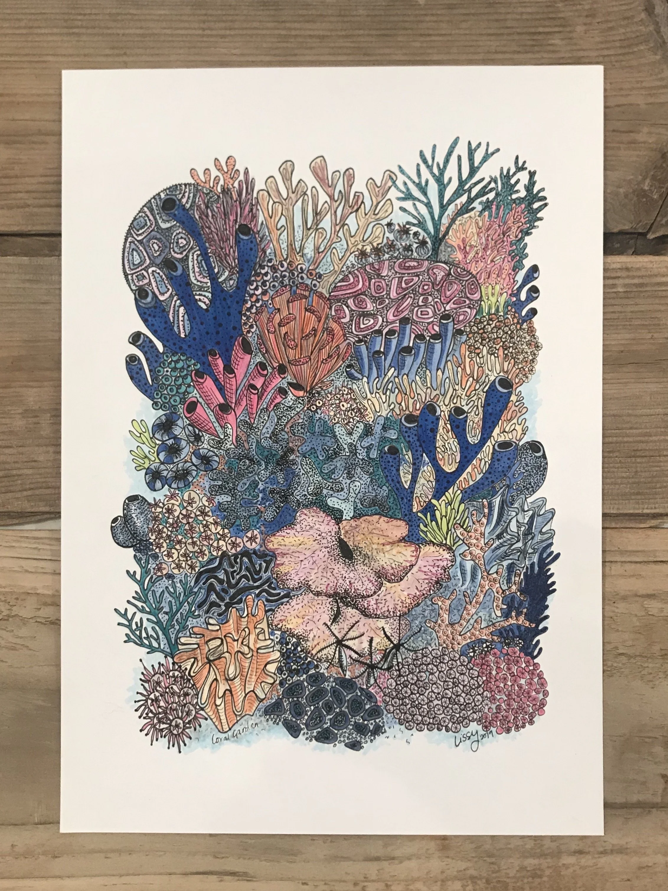 Coral Garden Lissy marsh