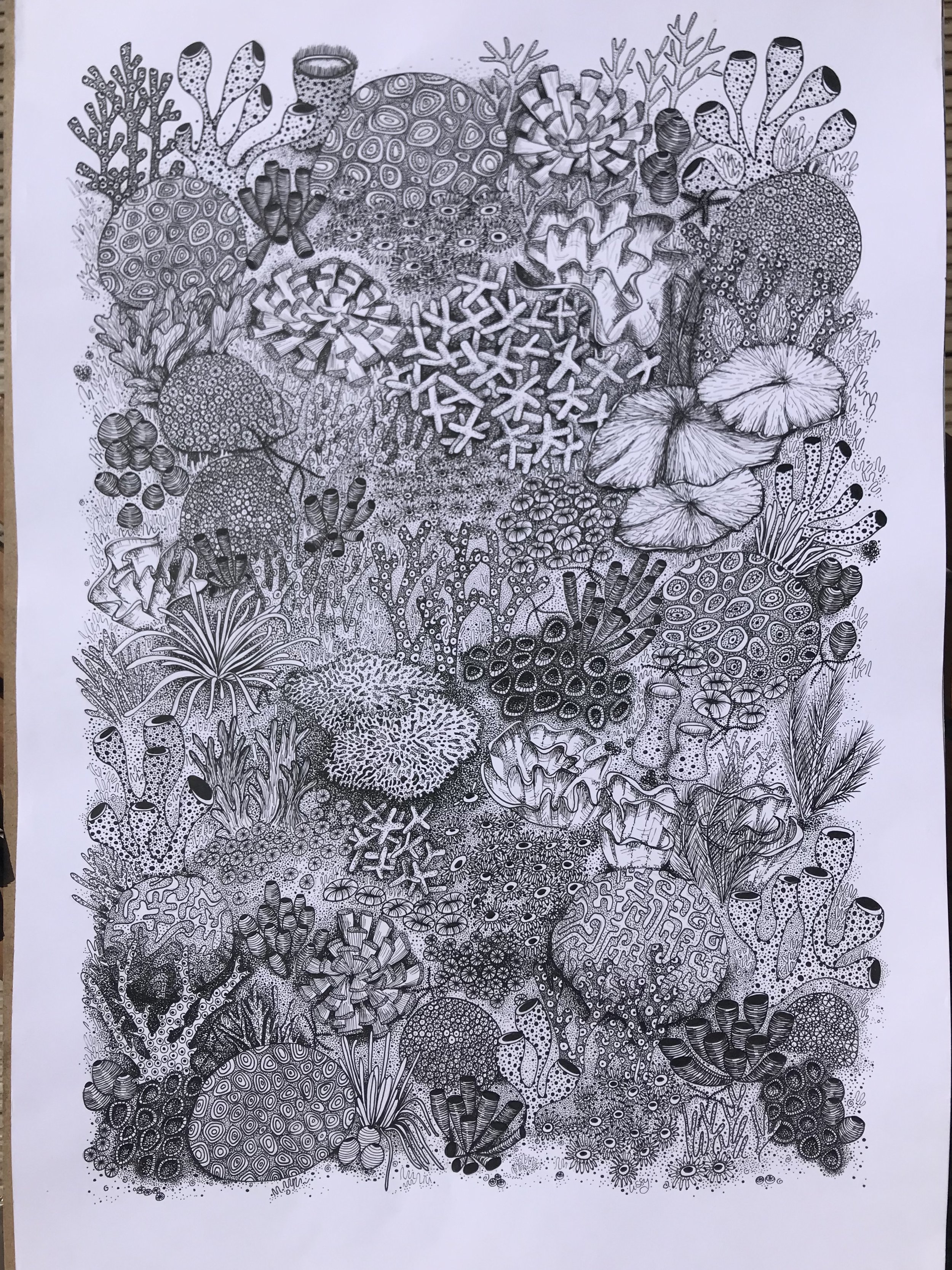 ©Lissy-Marsh-Coral-Garden