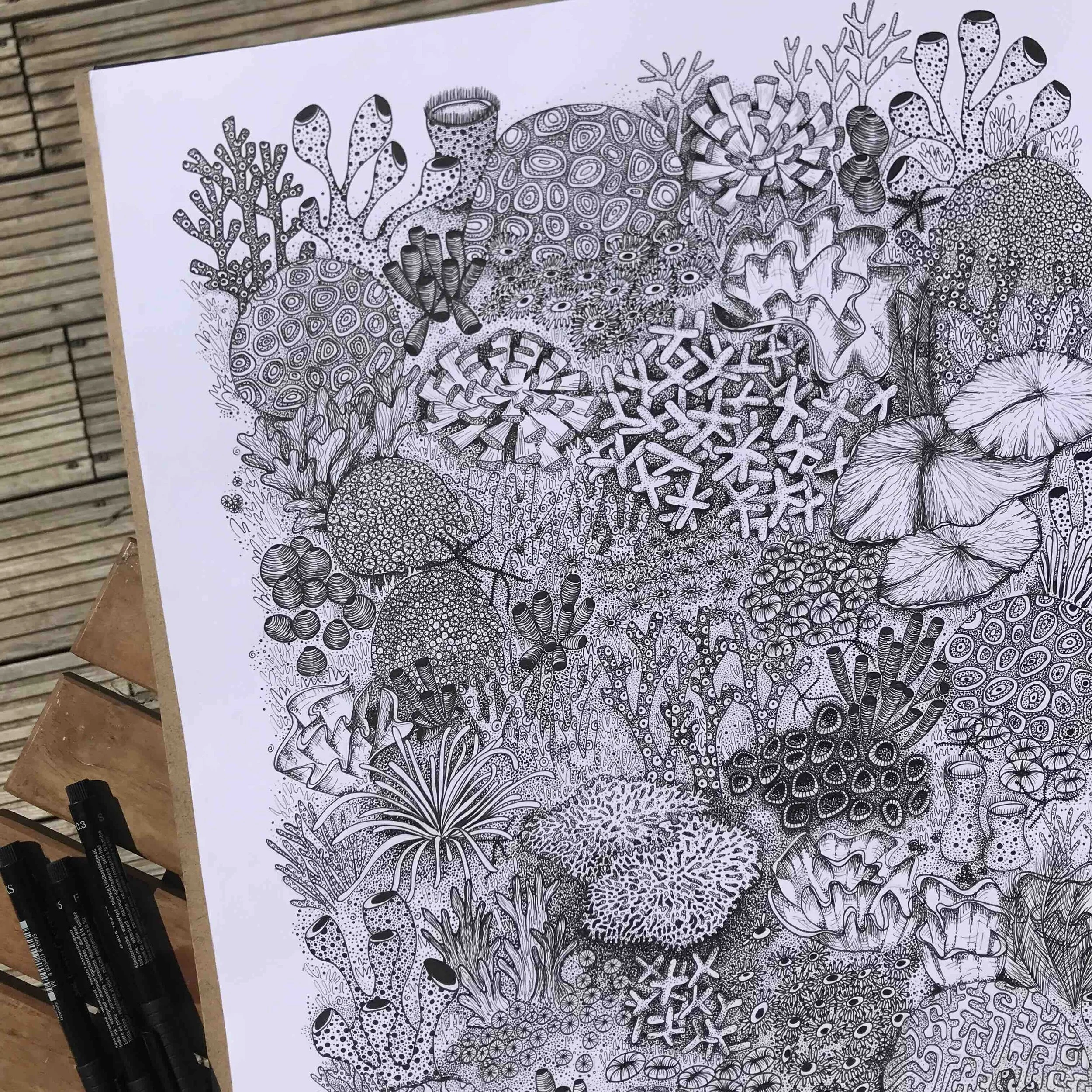 Coral Reef Belize wip ©LissyMarsh