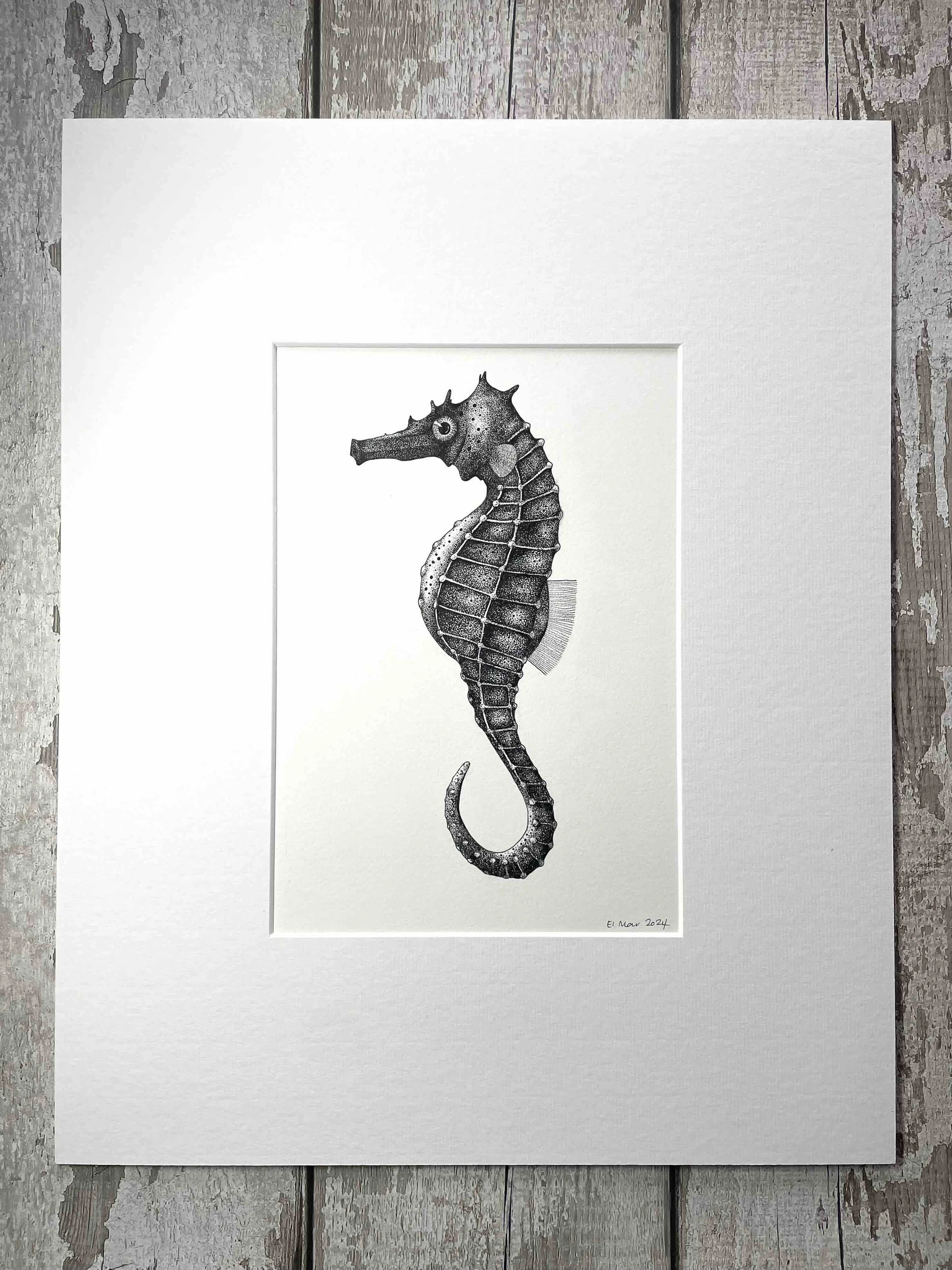Seahorse © Lissy Marsh