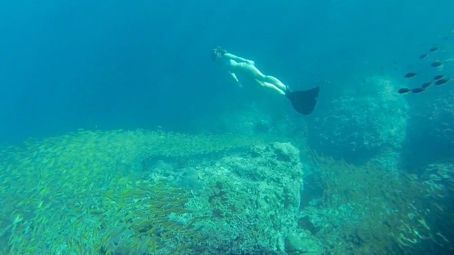 Lissy Marsh freediving Richelieu Rock in Thailand
