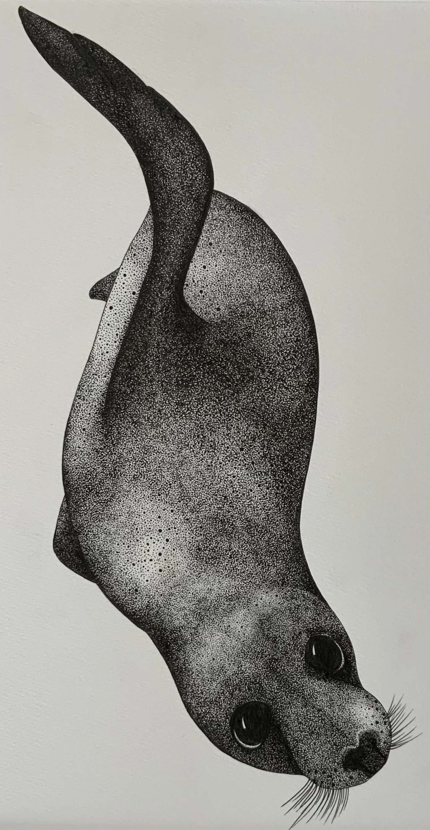 ©Lissy-Marsh-Selkie-Seal