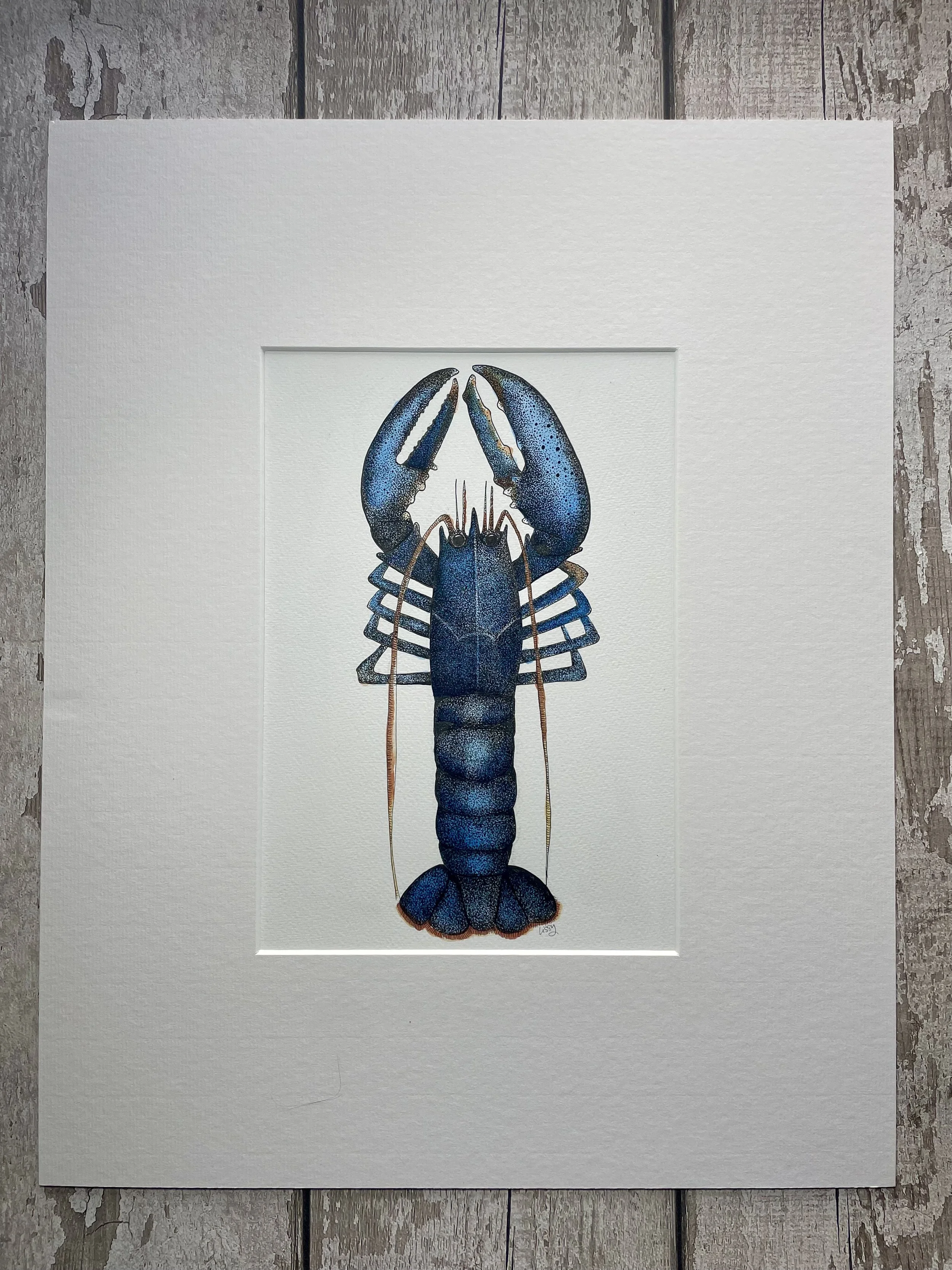 ©Lissy-Marsh-Lobster