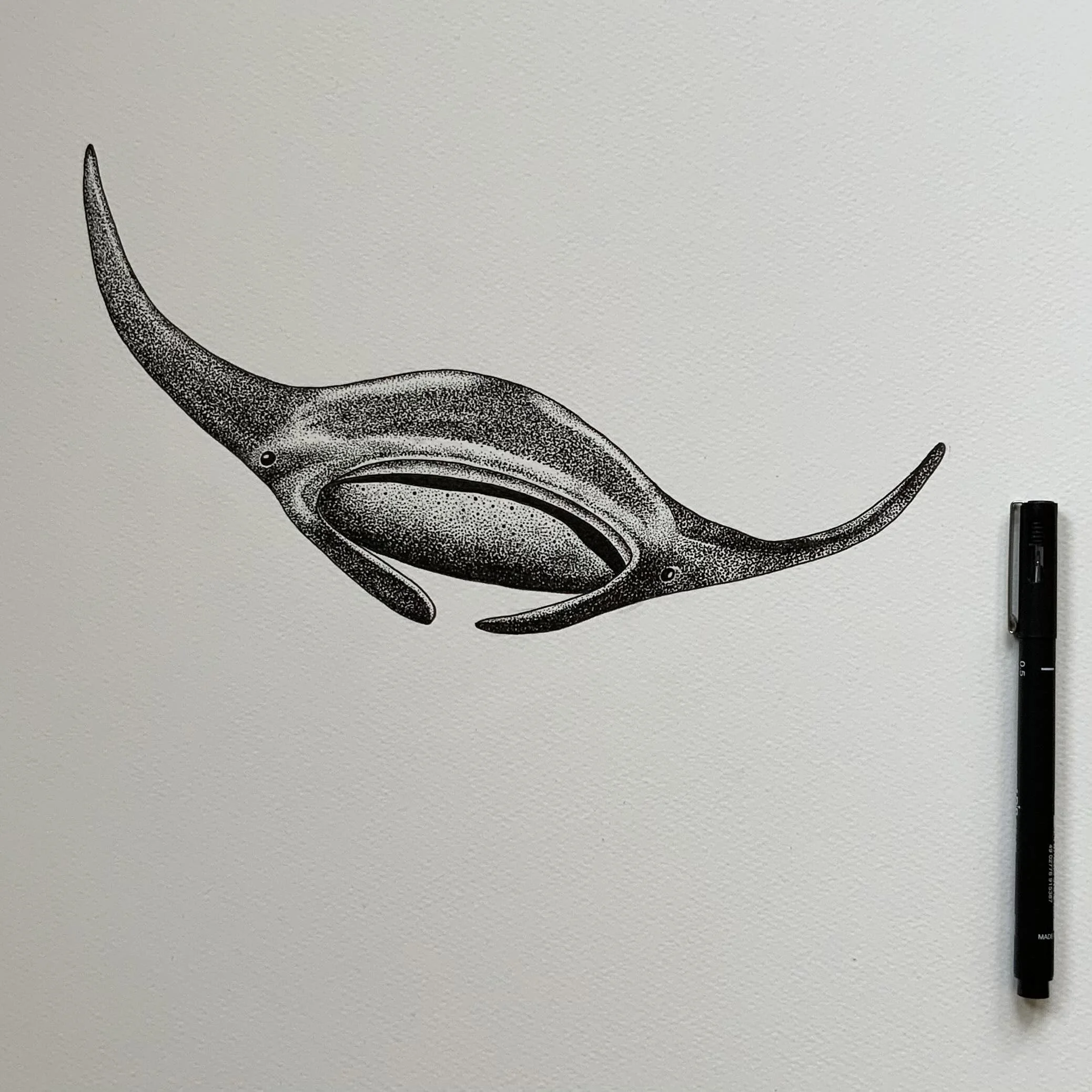 Manta Ray pen and ink © Lissy Marsh