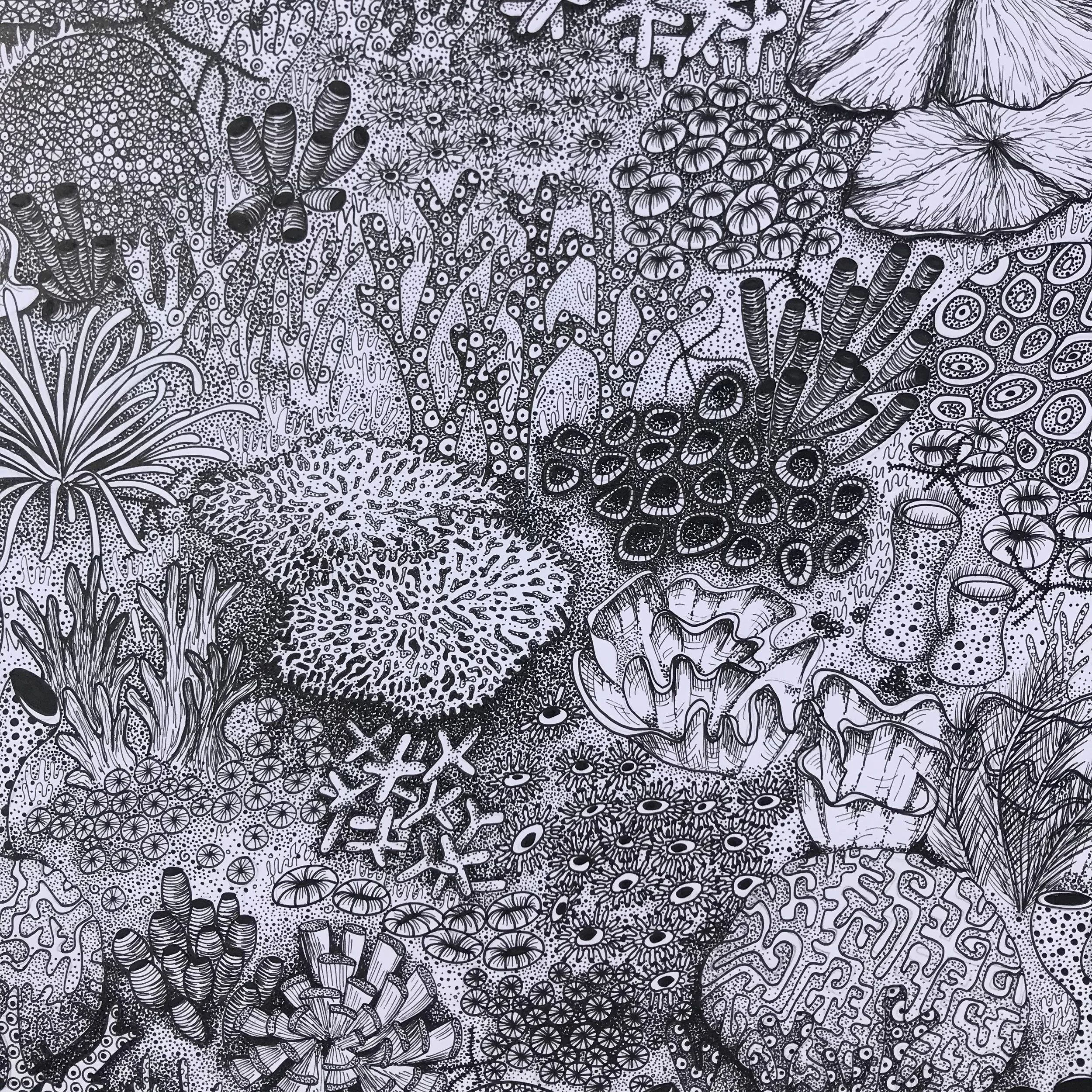 ©Lissy-Marsh-Coral-Garden