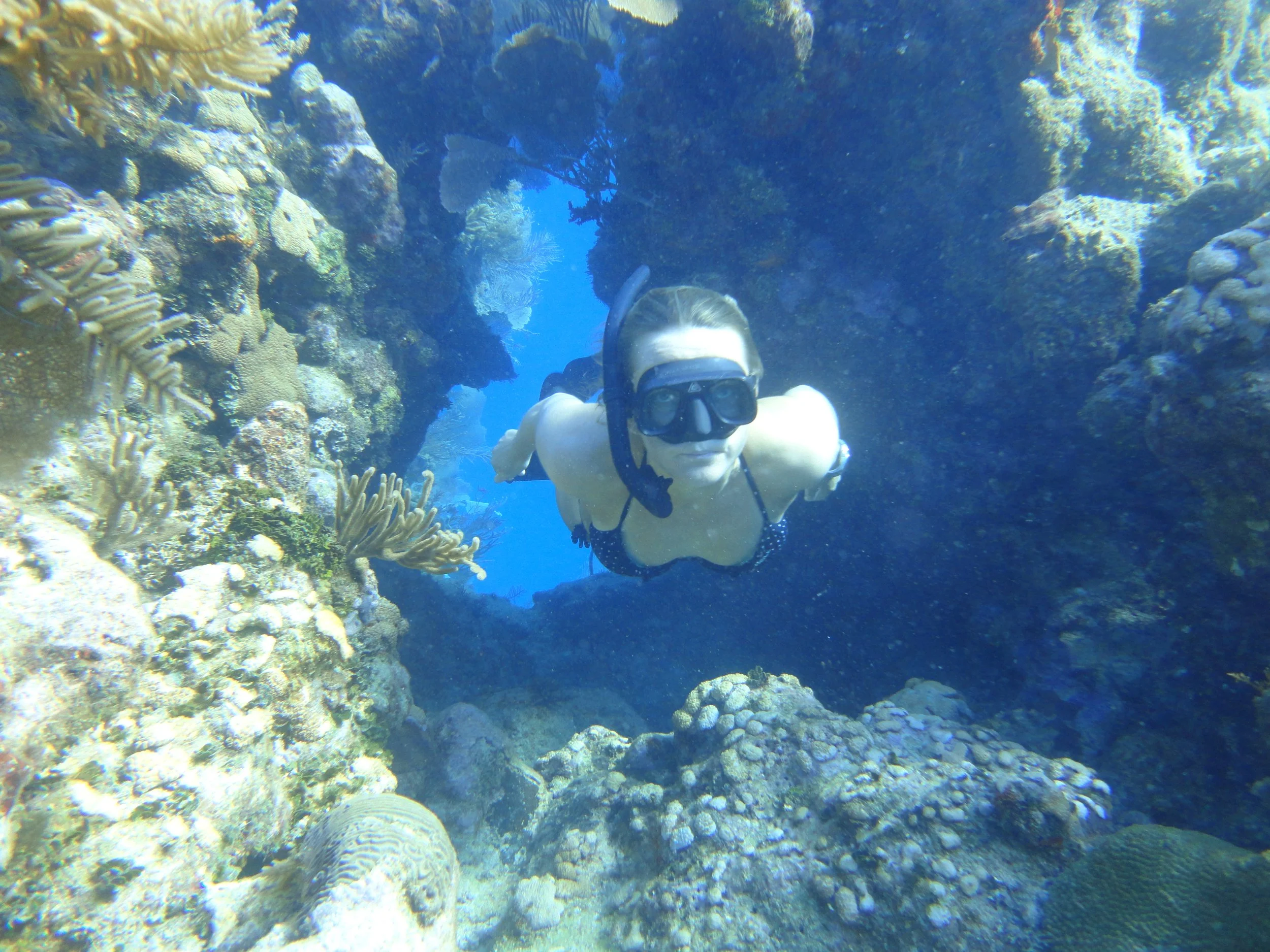 Lissy Marsh freediving in Honduras