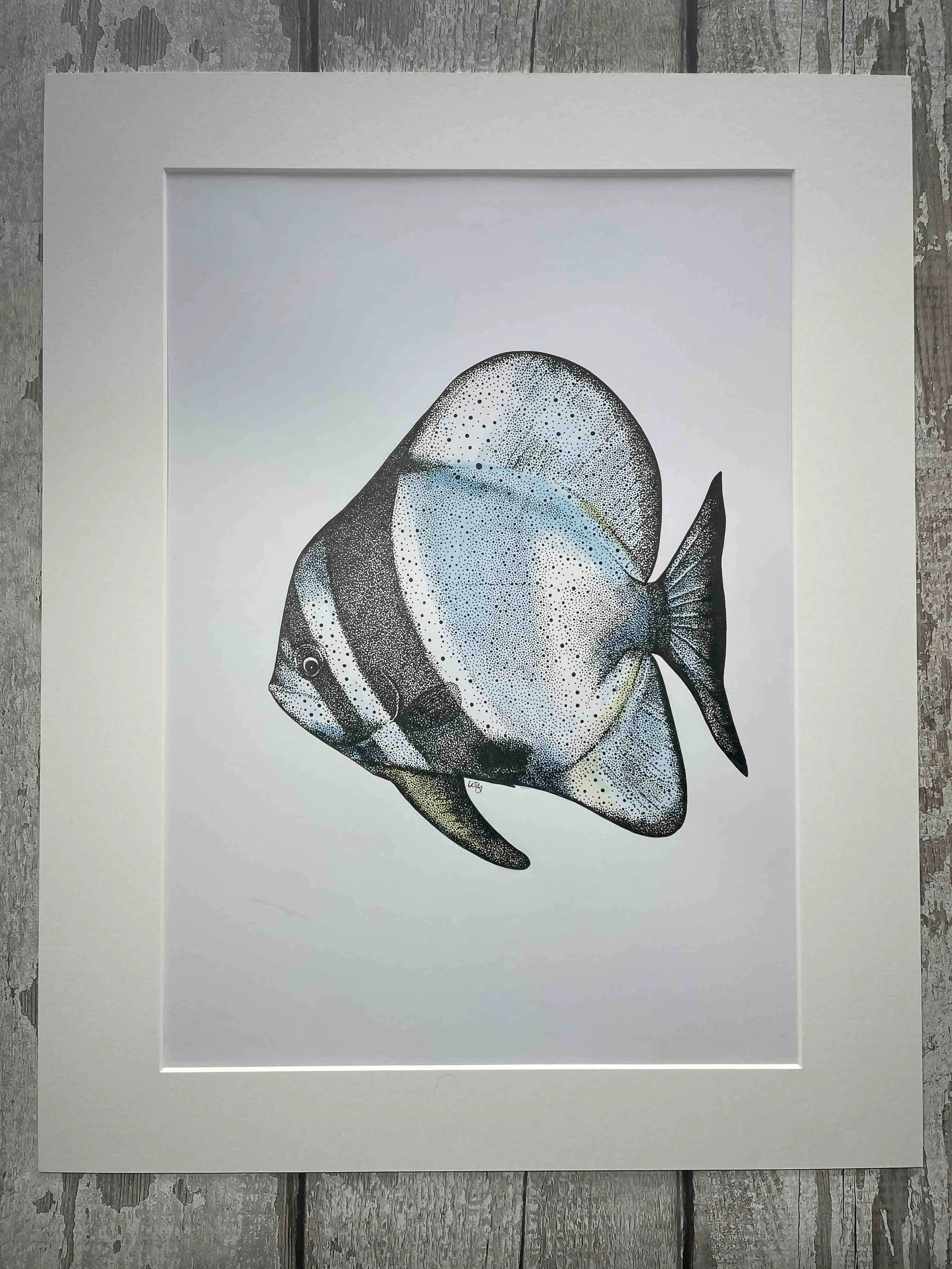 Bat Fish pen and ink ©LissyMarsh