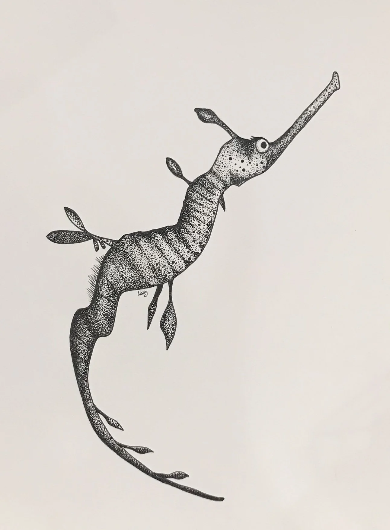 Sea Dragon © Lissy Marsh