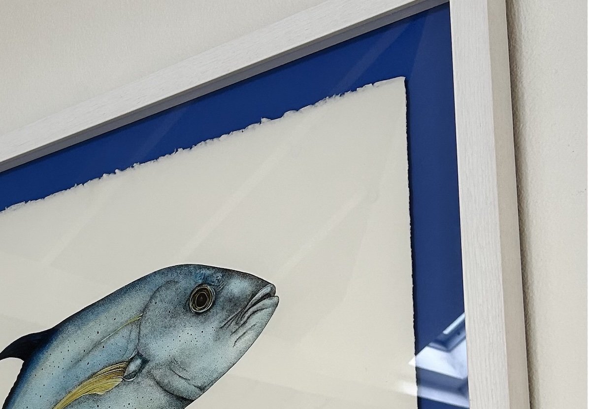 Bluefin Framed detail.jpg