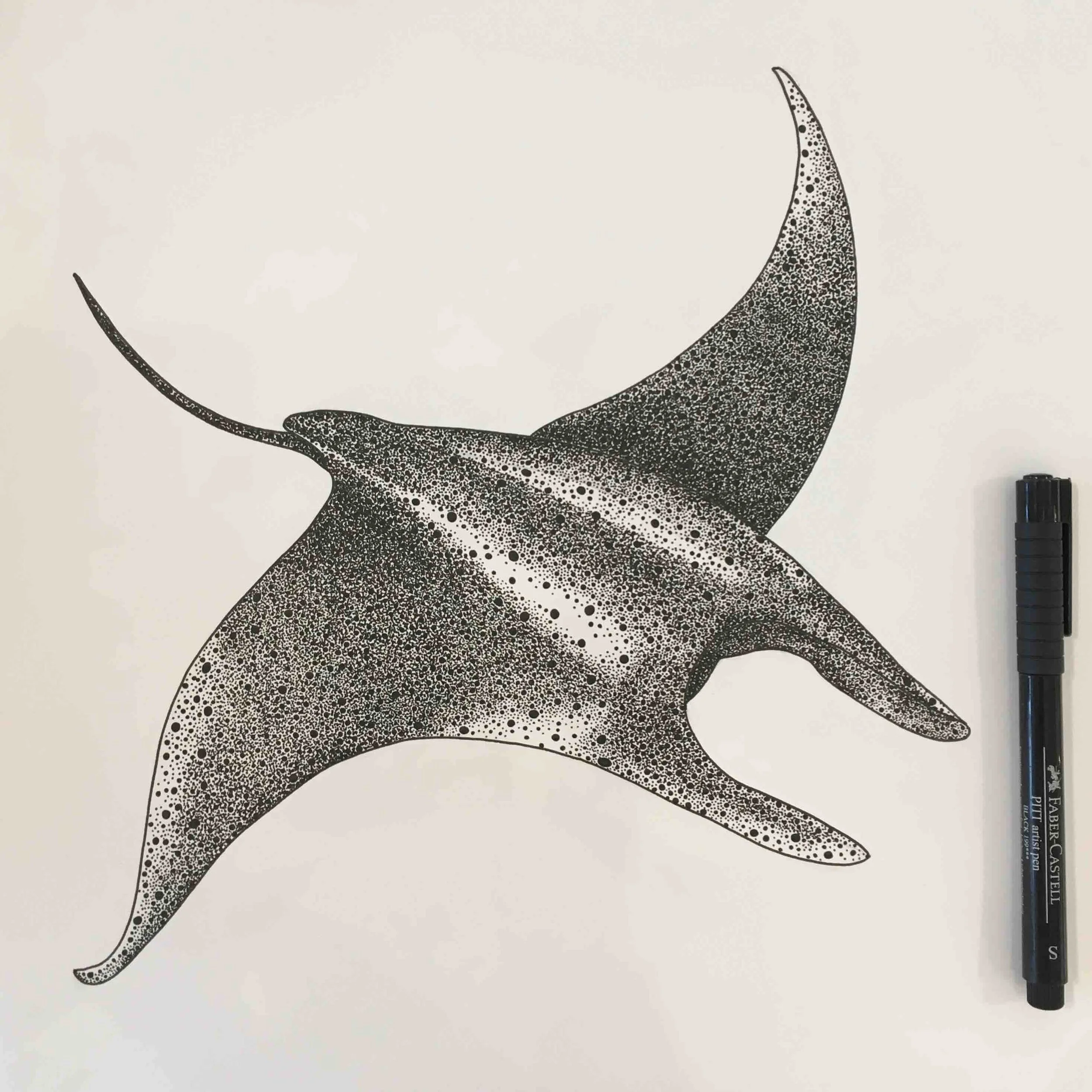Manta Ray ©Lissy Marsh