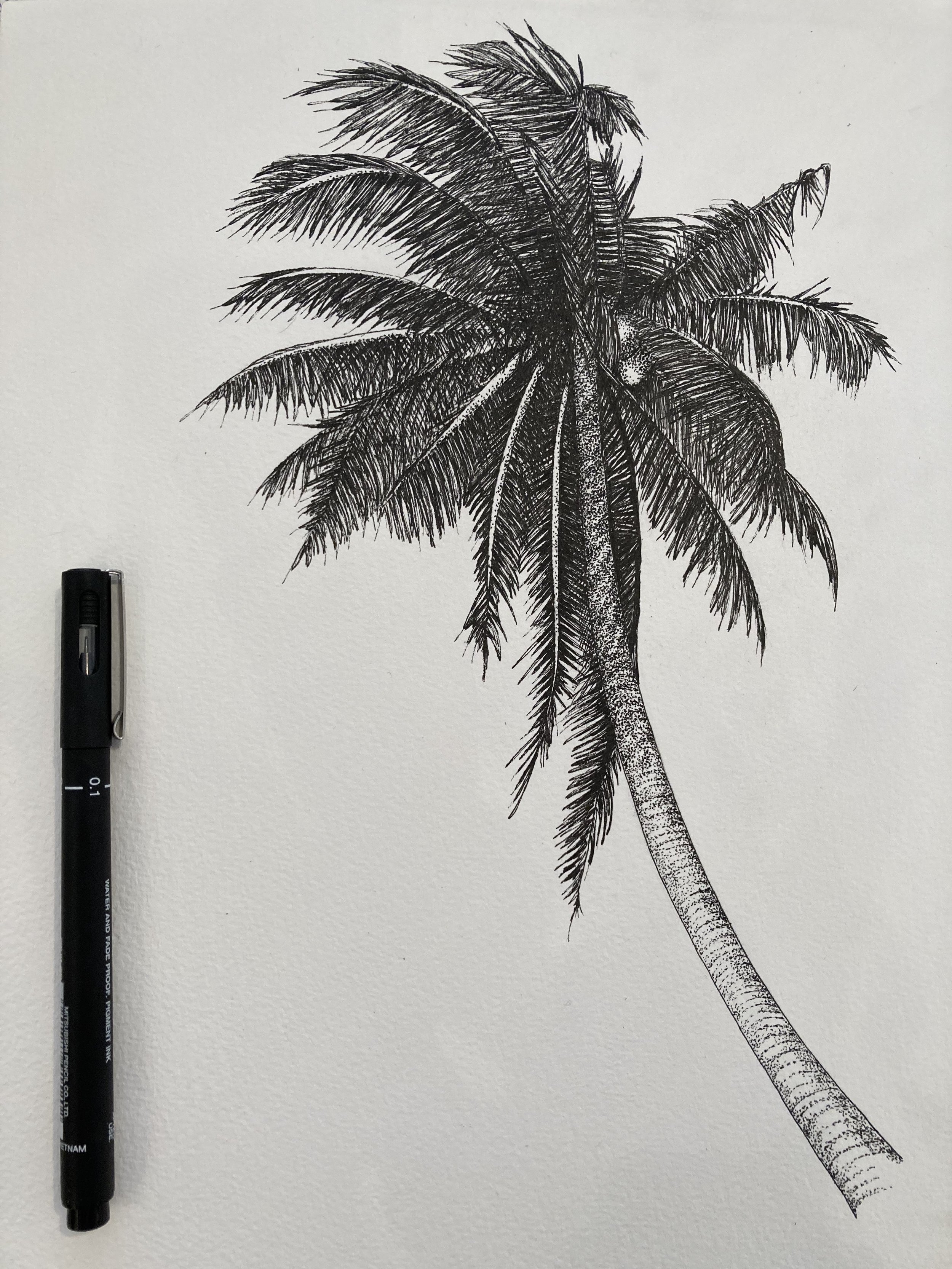 ©Lissy-Marsh-Palm-Tree