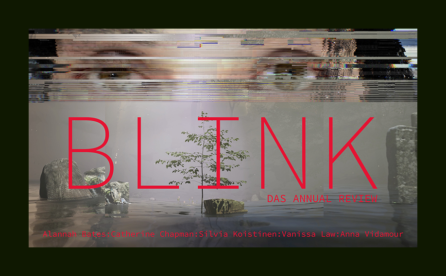 BLINK  - DAS Annual Review 
