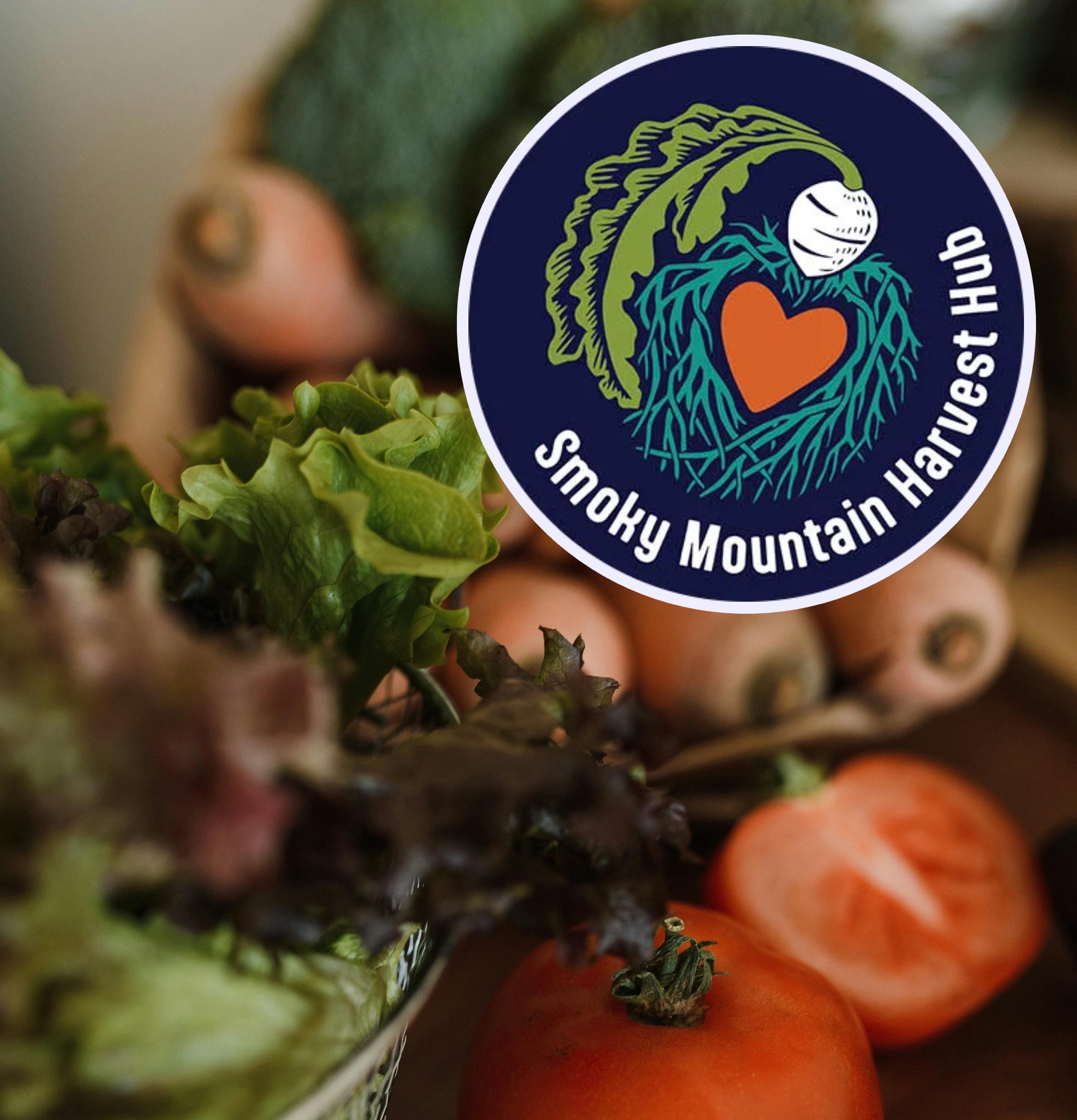 Hunger Relief Meets Rural Economic Development - WNC Health Policy Podcast Ep. 21