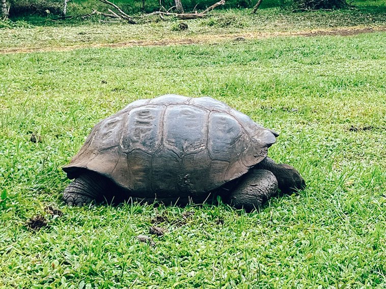 Travel Galapagos Islands