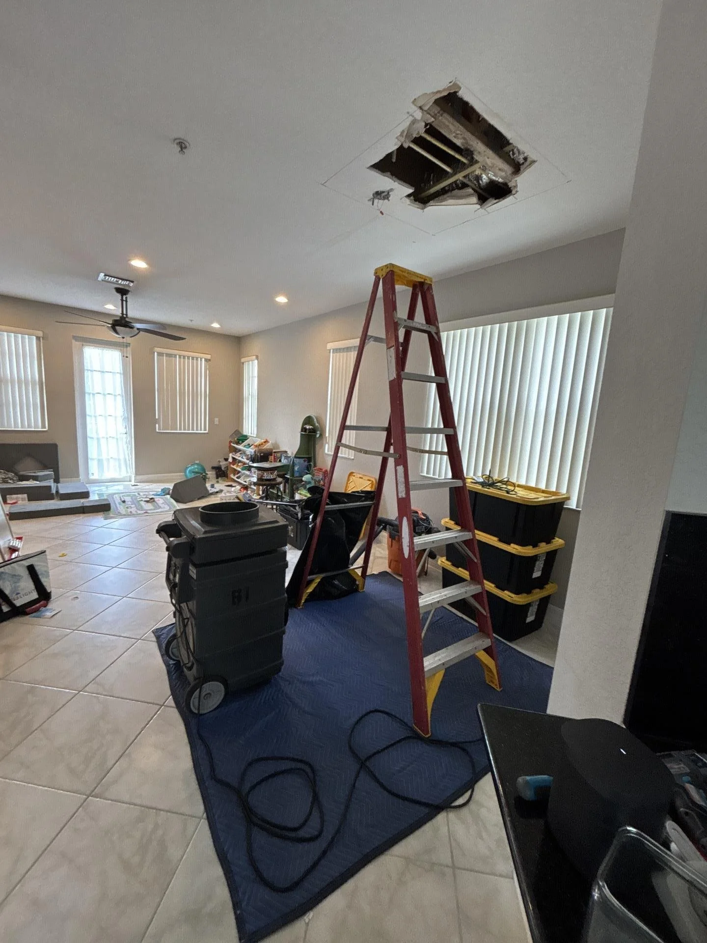 Case Study- Mold Remediation