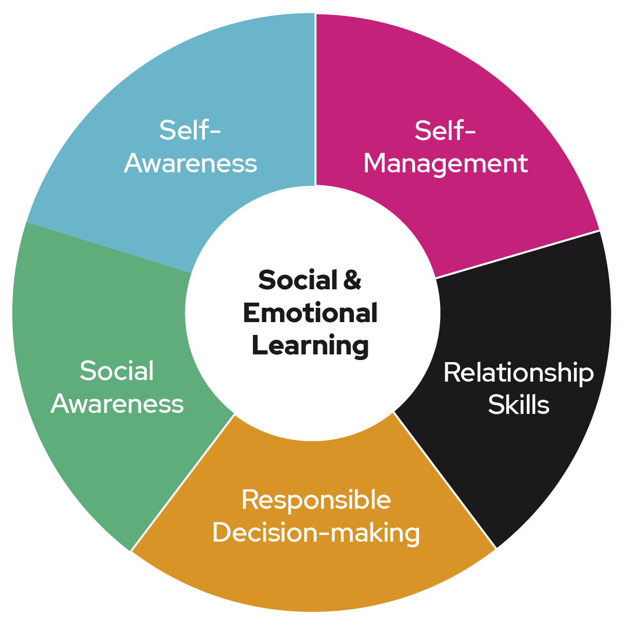 Professional Development — DrumFIT