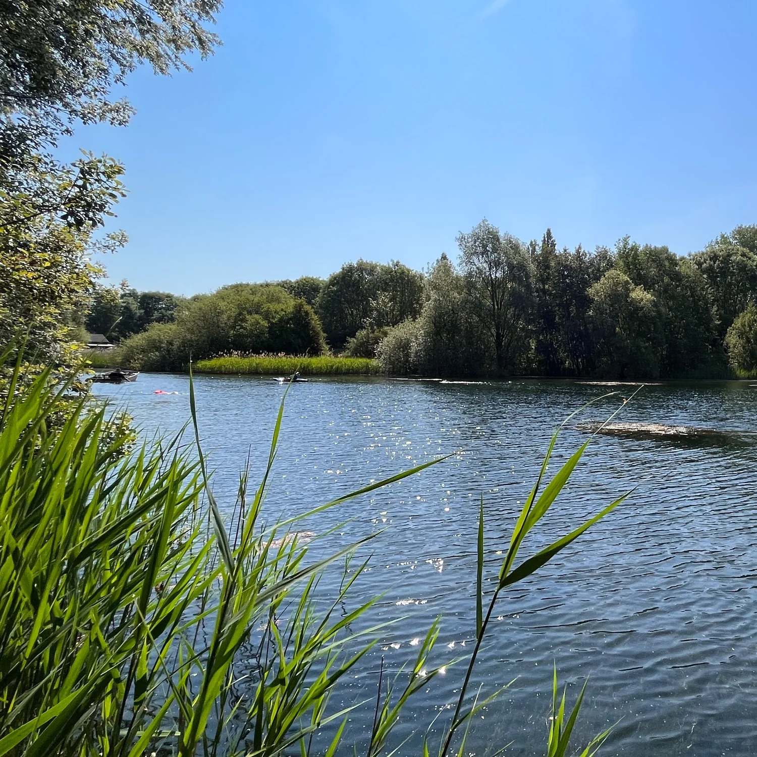 Open Water Swimming in Hertfordshire — Redricks Lakes