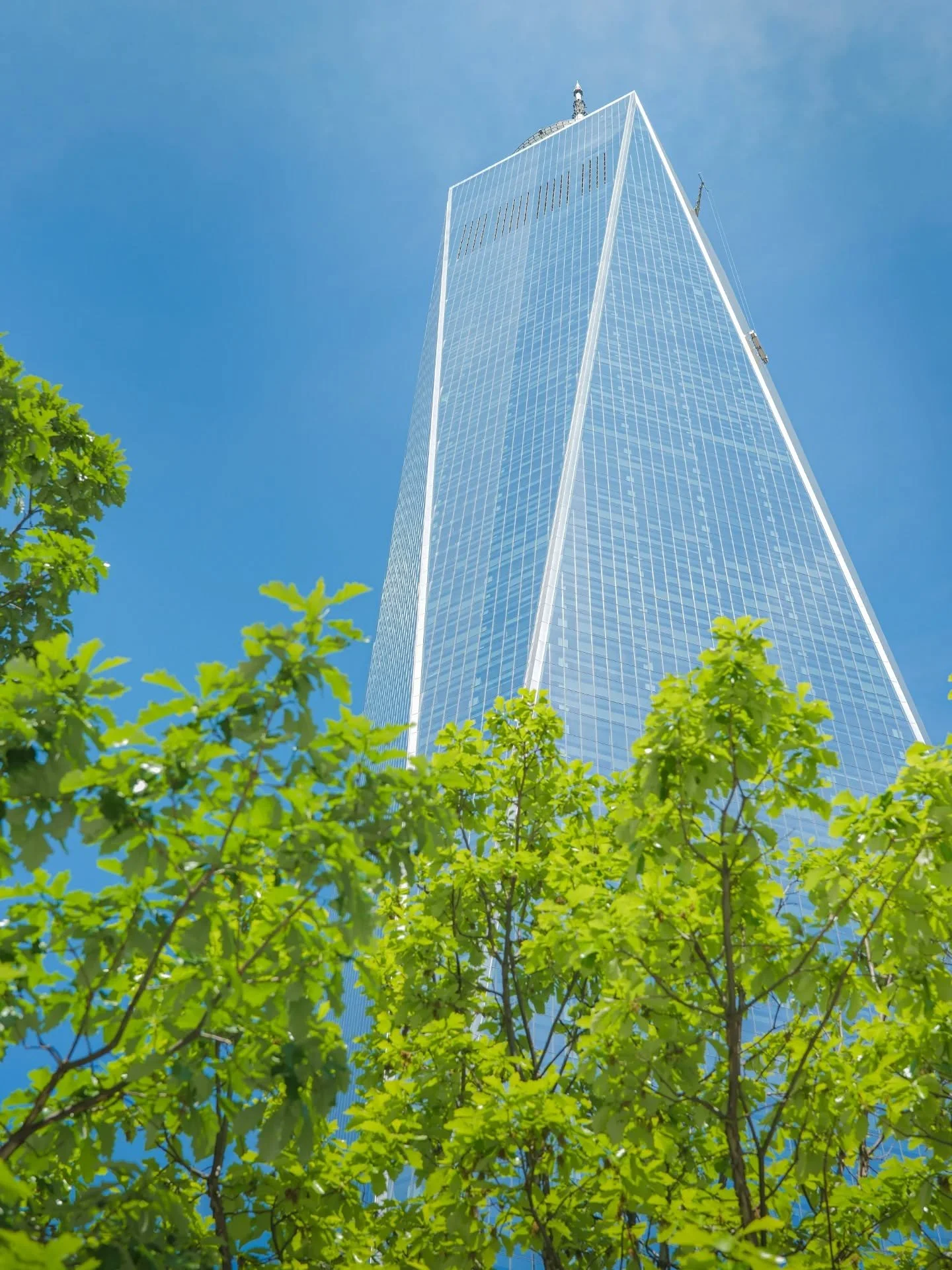 The sky is the limit π
One World Trade Center viewed through the trees by the North Tower Pool.
Captured earlier this year during our anniversary holiday to the USA. These shots really pop; clearly, the blue/green contrast is doing the heavy lifti