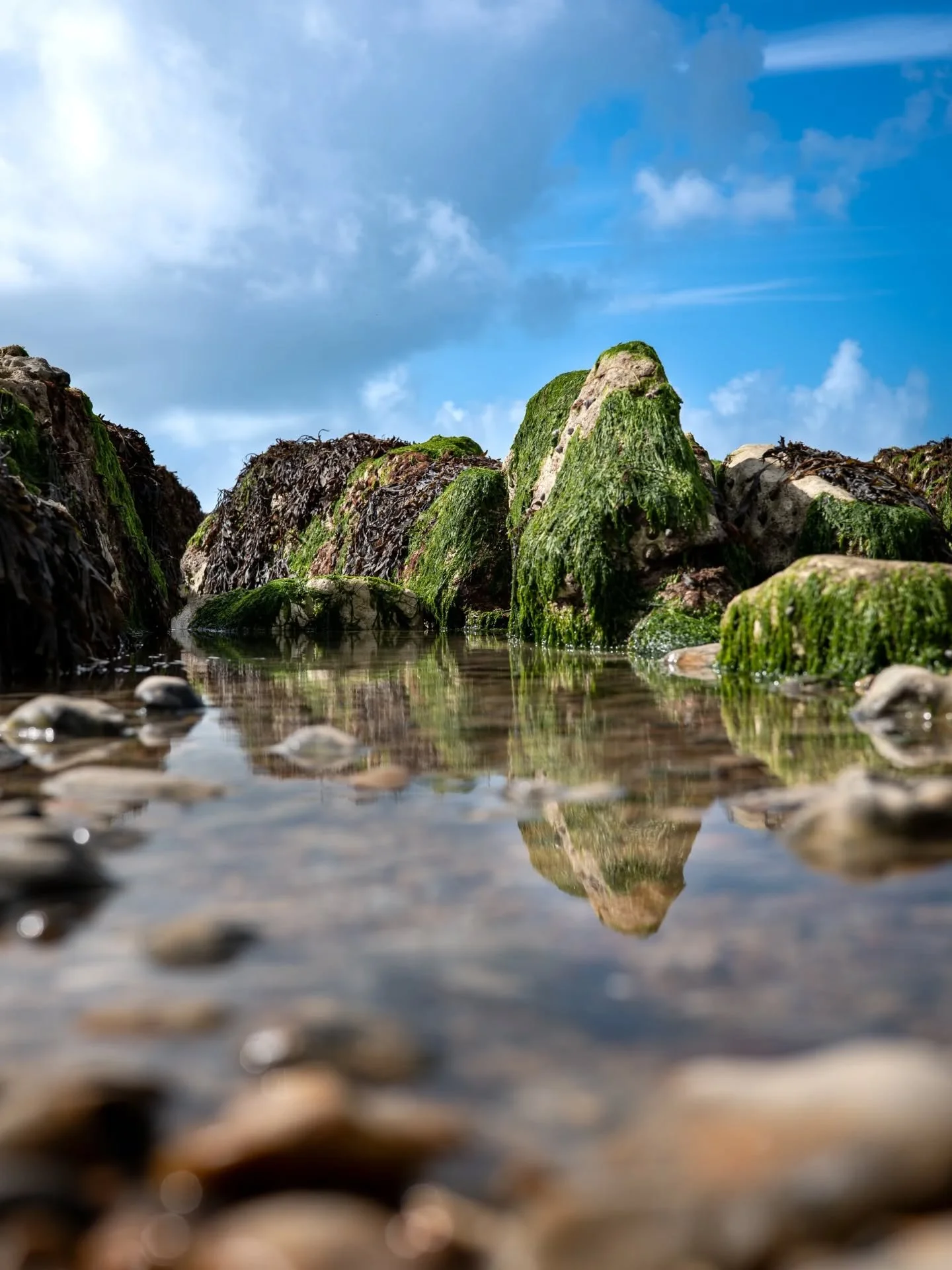 Impossible lakes
Bringing the perspective way down low to the water, taking advantage of the bright sky and mirror reflections of the water to create these impossible landscapes.
I really enjoy the blue/green contrast between the sky and the seawee