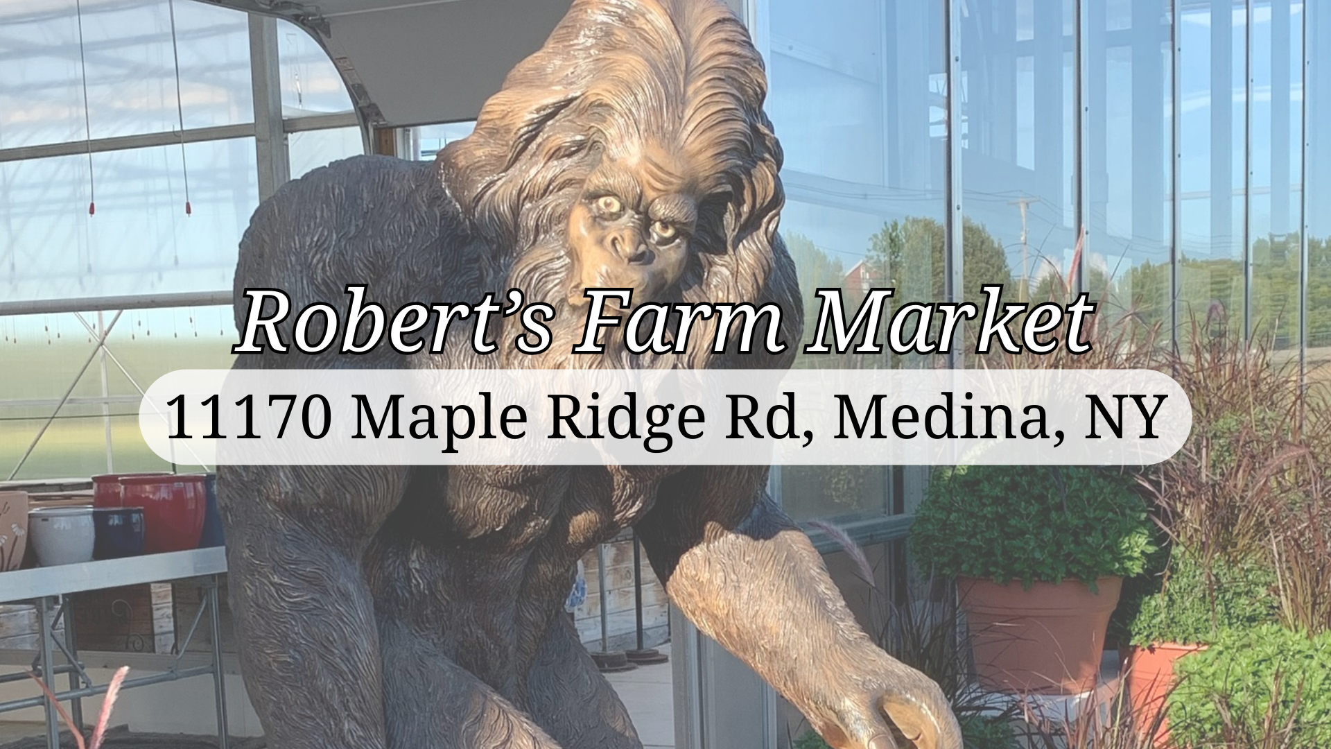 Roberts offers a variety of fruits, vegetables, flowers, shrubs, cider, local honey, and a showroom