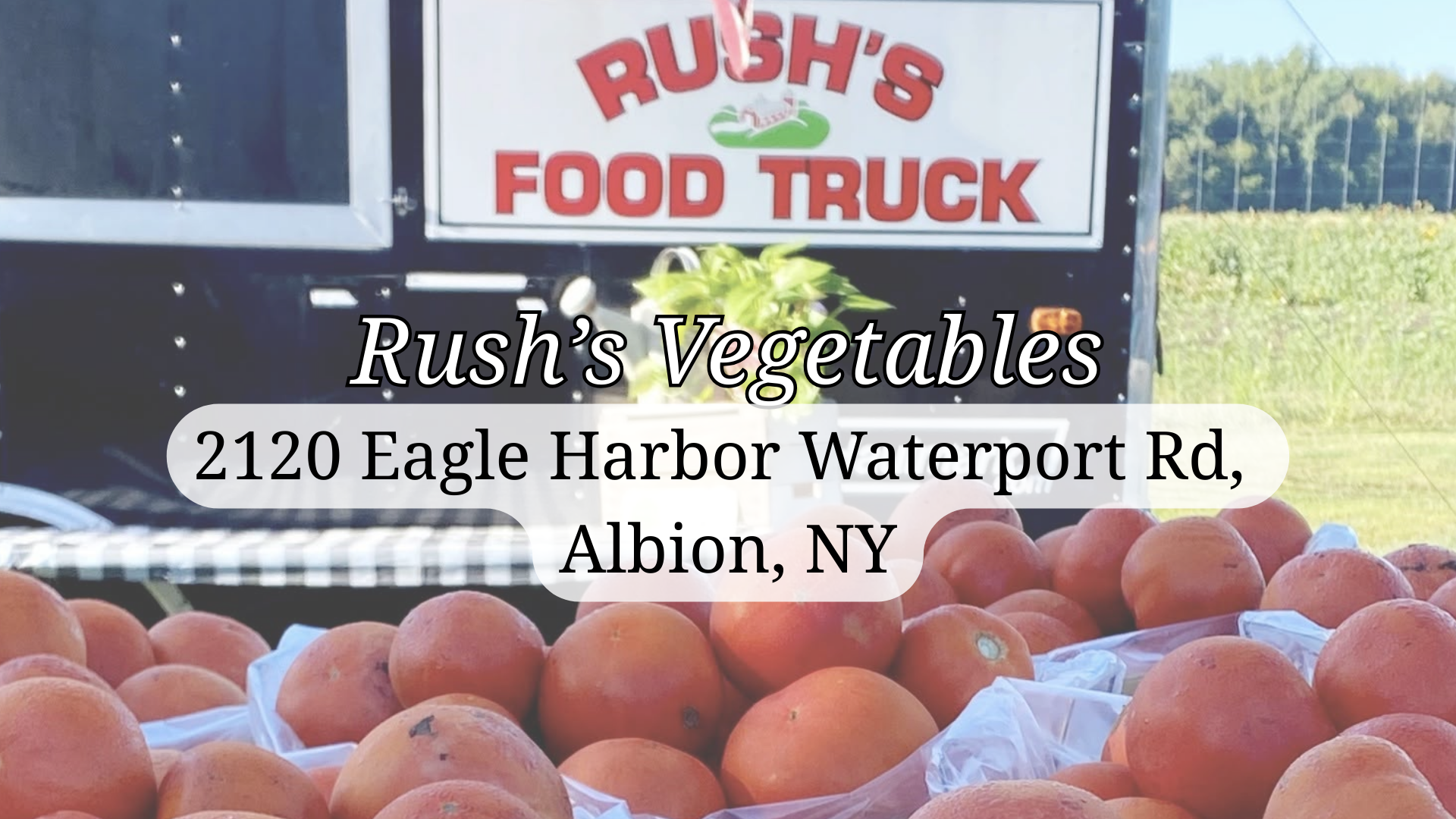 Rush's: Fresh Homegrown Fruits & Vegetables Albion, NY 