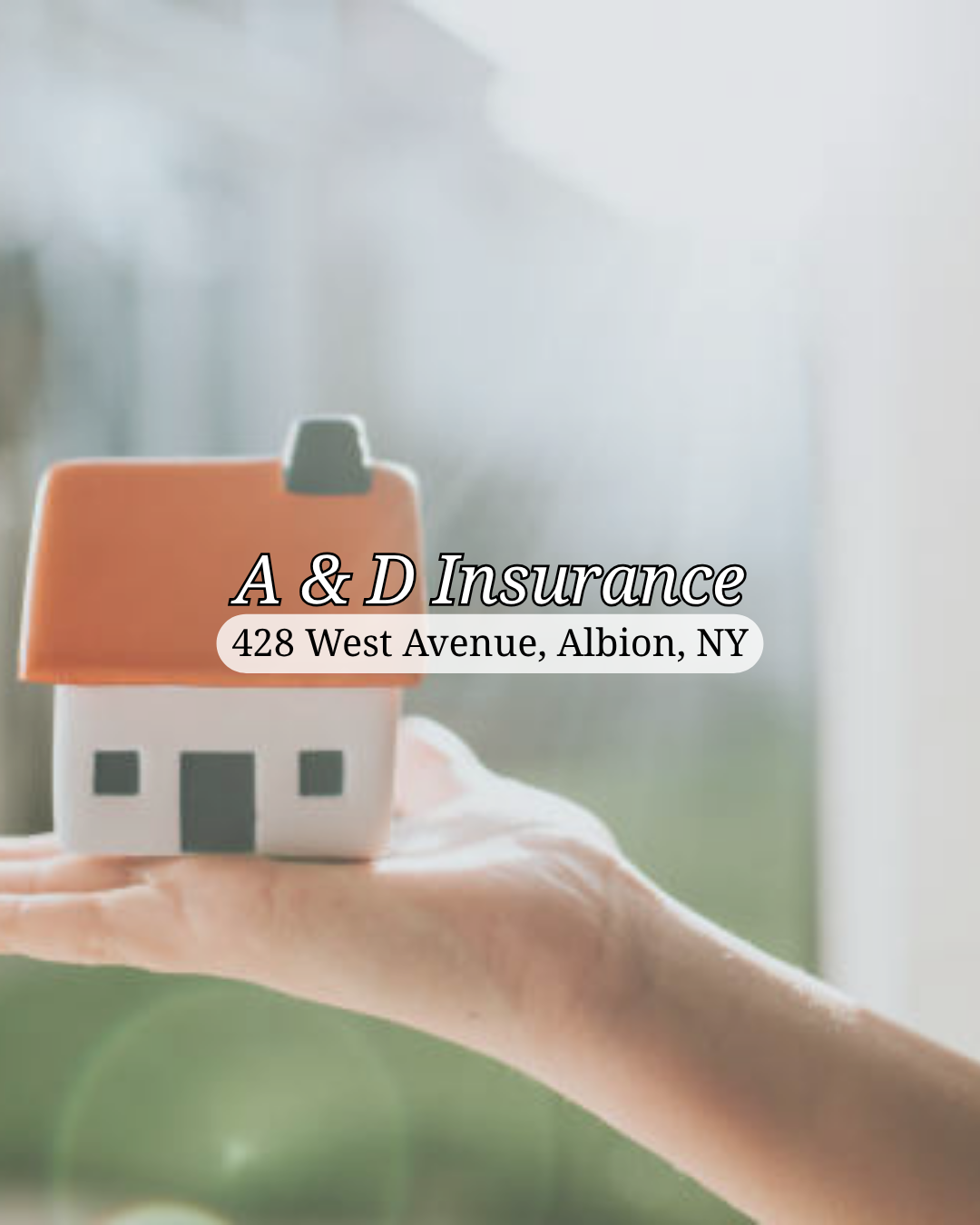 Since 1984, A & D Insurance has been proudly serving Albion, New York, and its surrounding areas with all of their insurance needs. We are a family owned and operated business and treat all of our customers as if they were a part of our family.