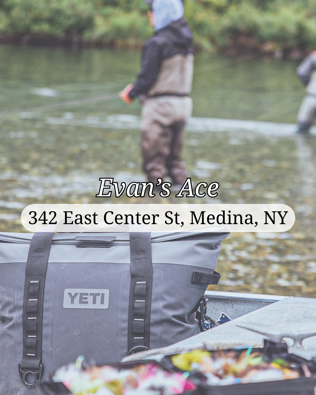 Evan's Ace