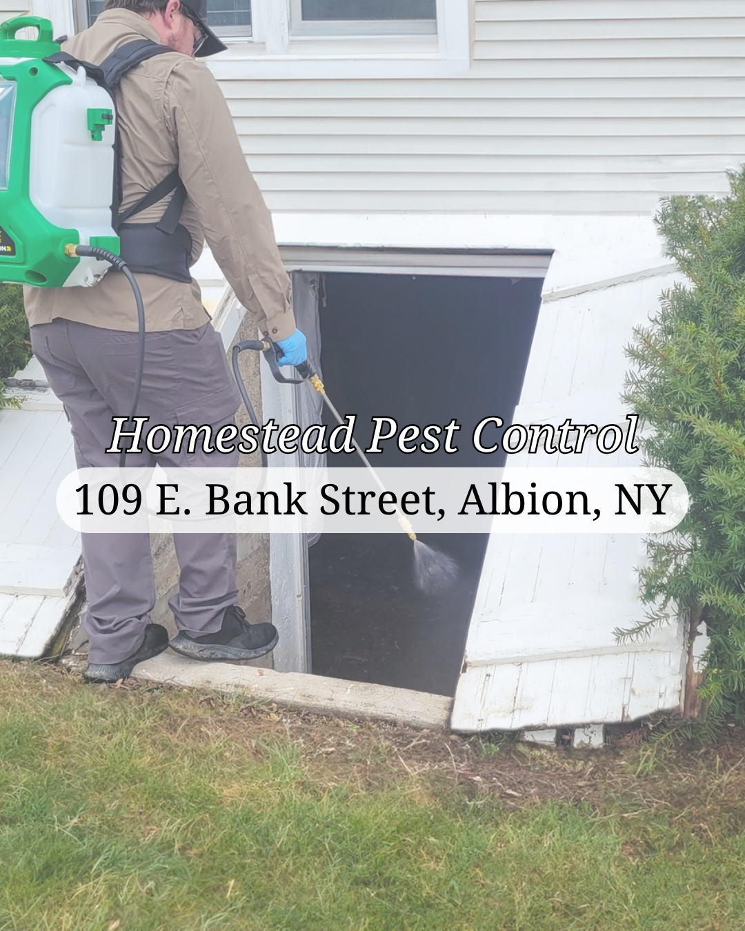 Homestead Pest Control