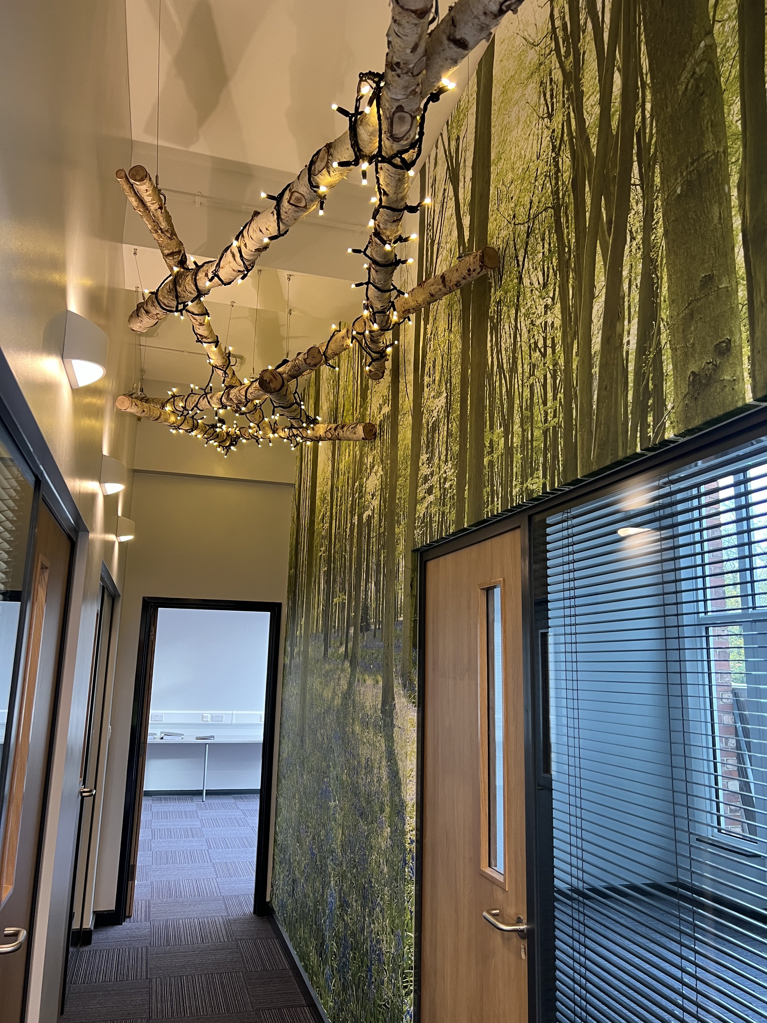 Manchester High School for Girls, SEN &amp; Corporate Moves