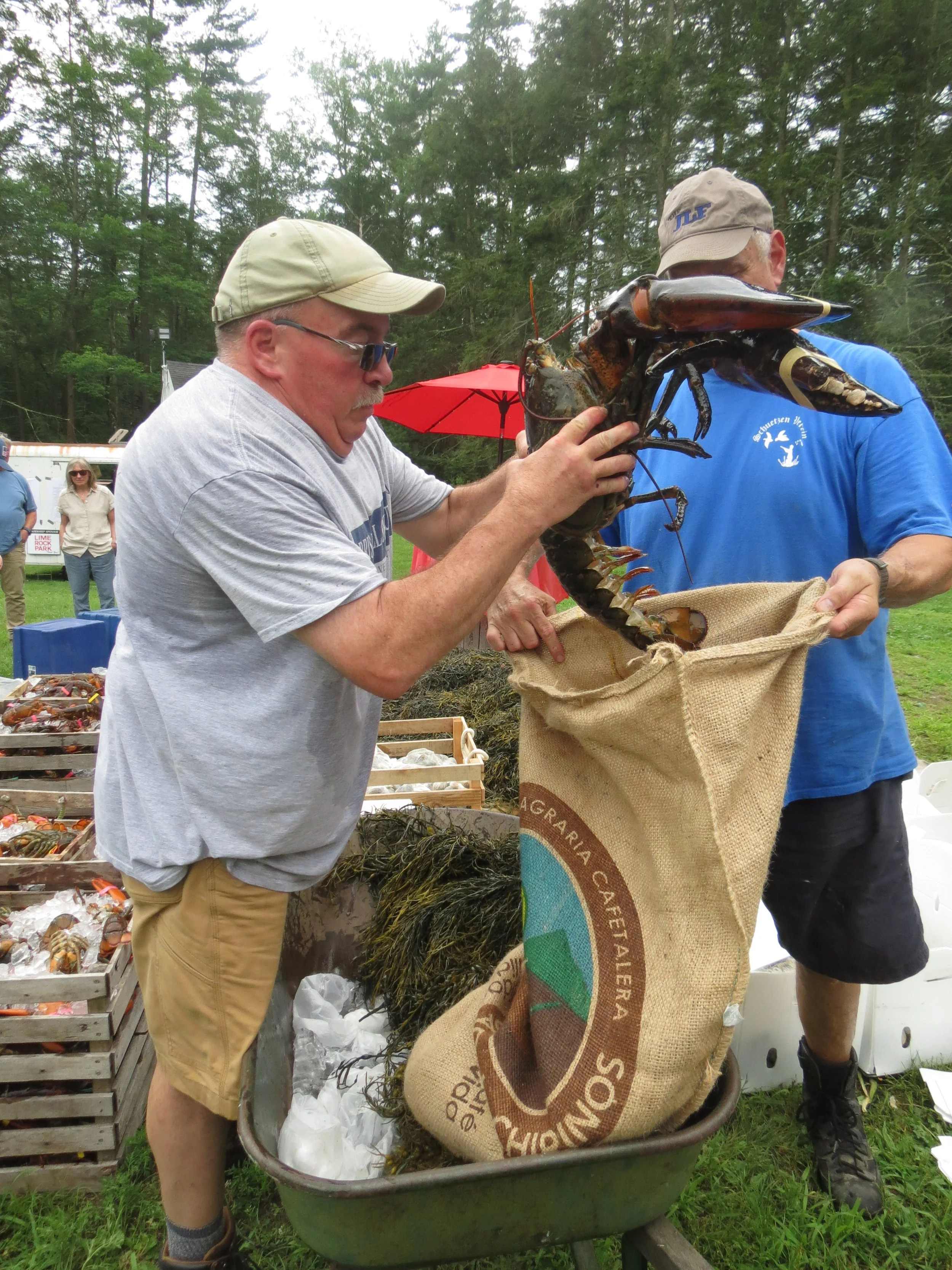 clambake10.JPG