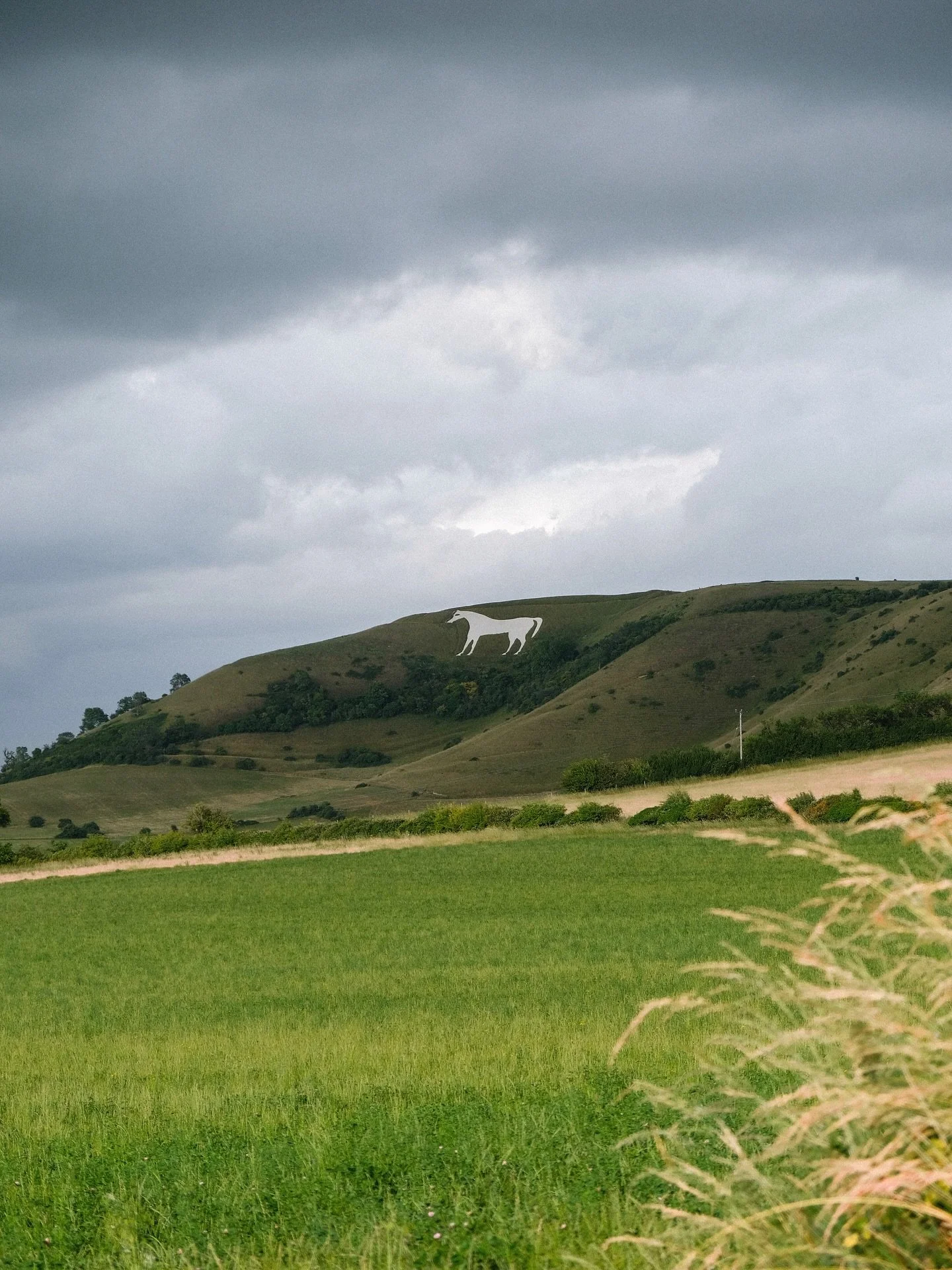 art in the landscape 🐎
.
.
.
.
.
.
.
.
.
.
.
.
.
#mytinyatlashello #exploreEngland #natureshot #littlestoriesofmylife #35mm #somersetlife #filmphotography #kodakfilm #naturegeography #wildnature #gardenphotography #landscapecaptures #mytinyatlas #fi