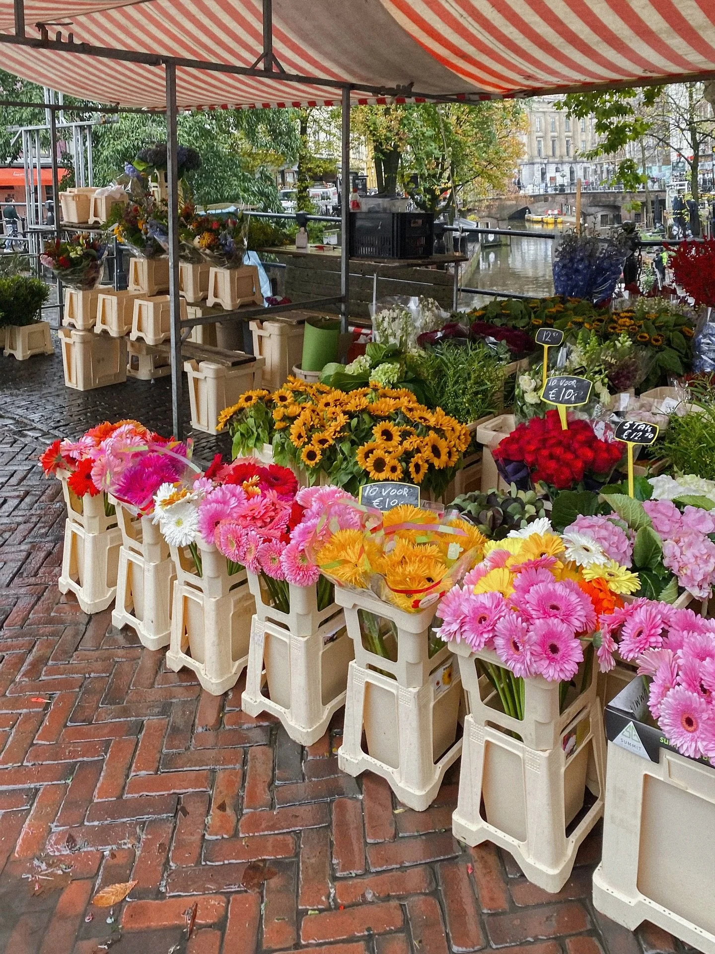autumn flower market 🌸
.
.
.
.
.
.
.
.
.
.
.
.
.
#mytinyatlashello #traveldiary #city_features #littlestoriesofmylife #35mm #autumnphoto #filmphotography #kodakfilm #flowermarket #thenetherlands #city_features #visitnetherlands #mytinyatlas #filmcom