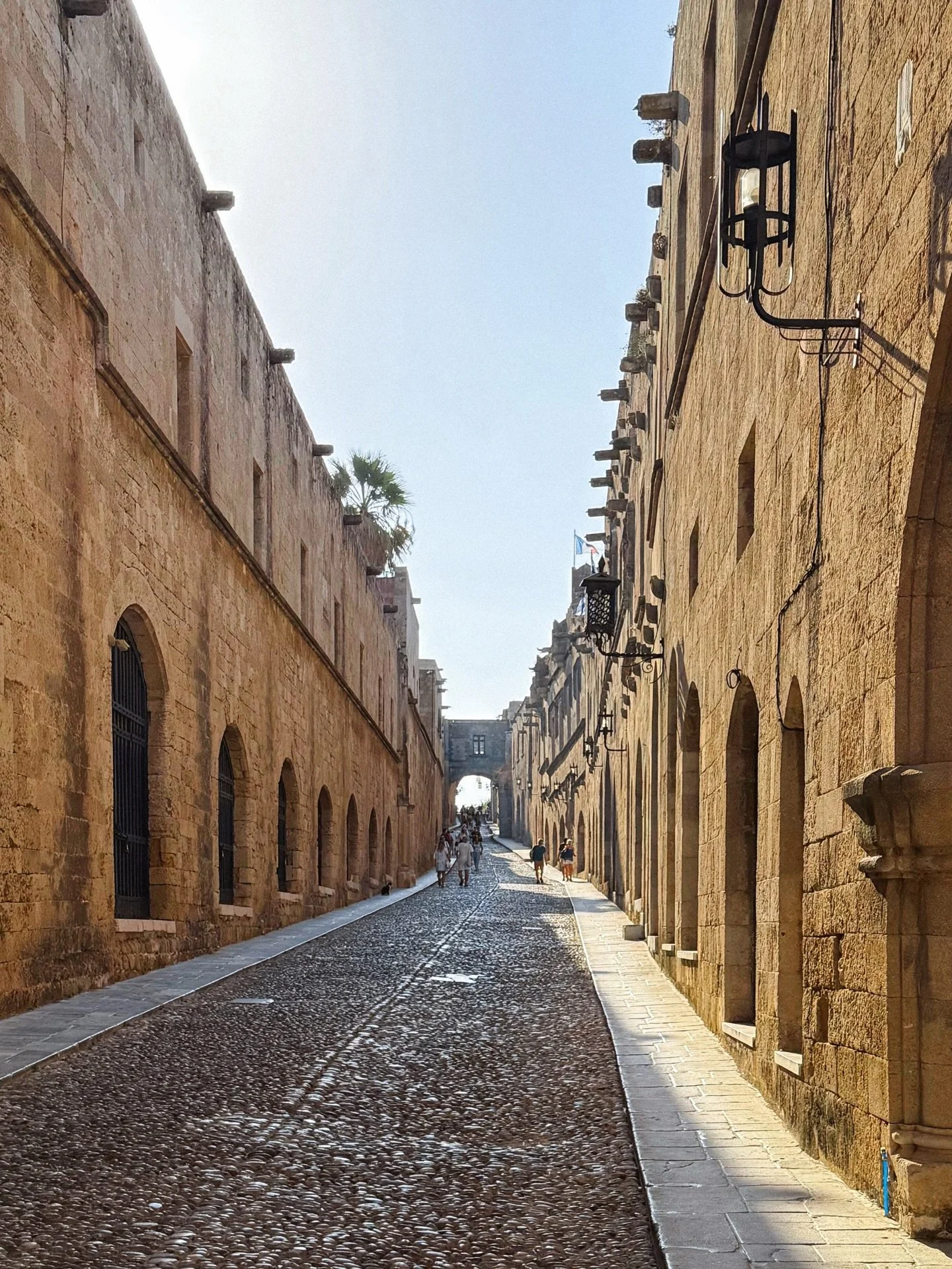 the street of the knights, rhodes 🐈
.
.
.
.
.
.
.
.
.
.
.
#rhodesisland #oneearthmagazine #greece_moments #lindos #greecelover