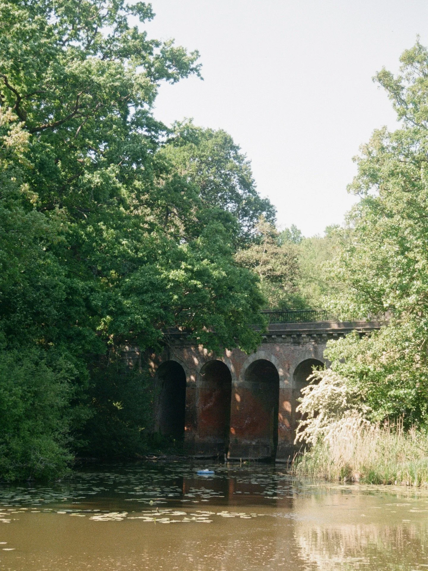 summer archive from hampstead heath 🌿 
.
.
.
.
.
.
.
.
.
.
.
.
.
#springiscoming #londonphotographer #hampsteadheath #hampstead #35mmfilmphoto