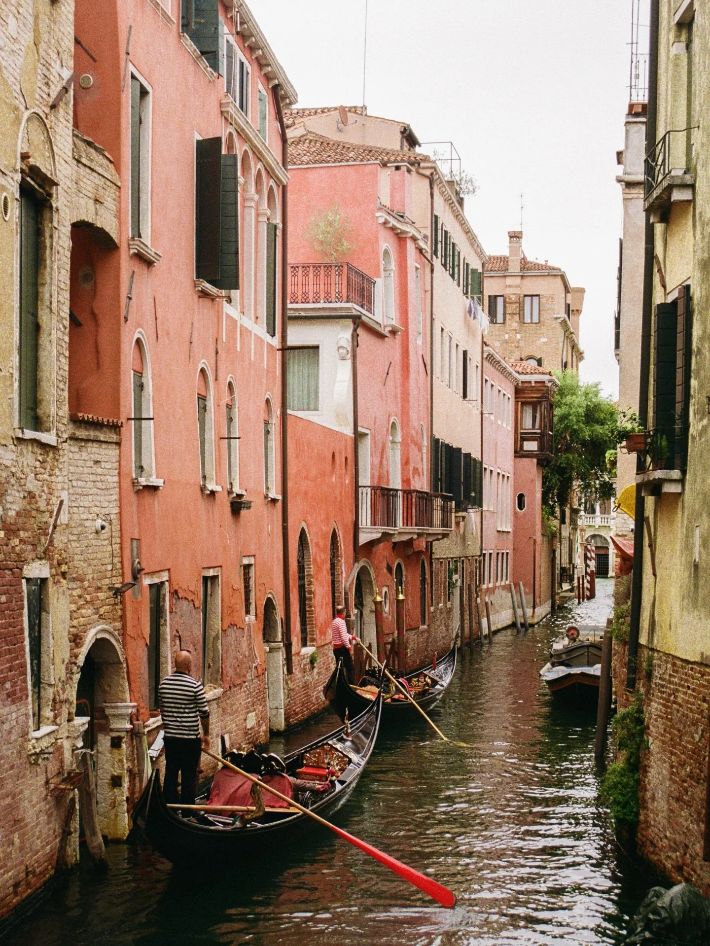 peachy tones &amp; terracotta pigments 🍑
.
.
.
.
.
.
.
.
.
.
.
#venicephotographer #photovogue #veneziagram #mytinyatlashello #35mmfilmphoto