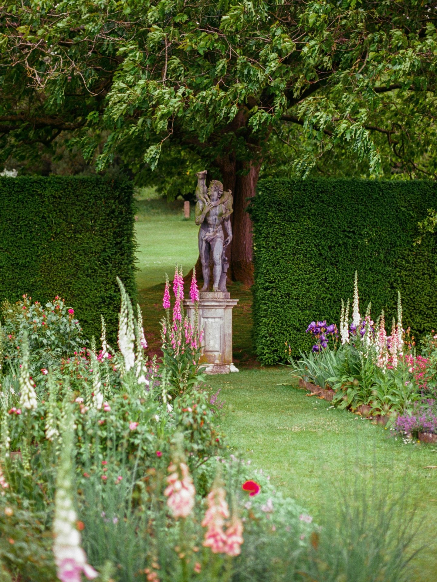 beautiful corners from summer at @chatsworthofficial 🌿
.
.
.
.
.
.
.
.
.
.
.
#countrysidelife #chatsworth #peakdistrictphotography #derbyshire #gardentherapy