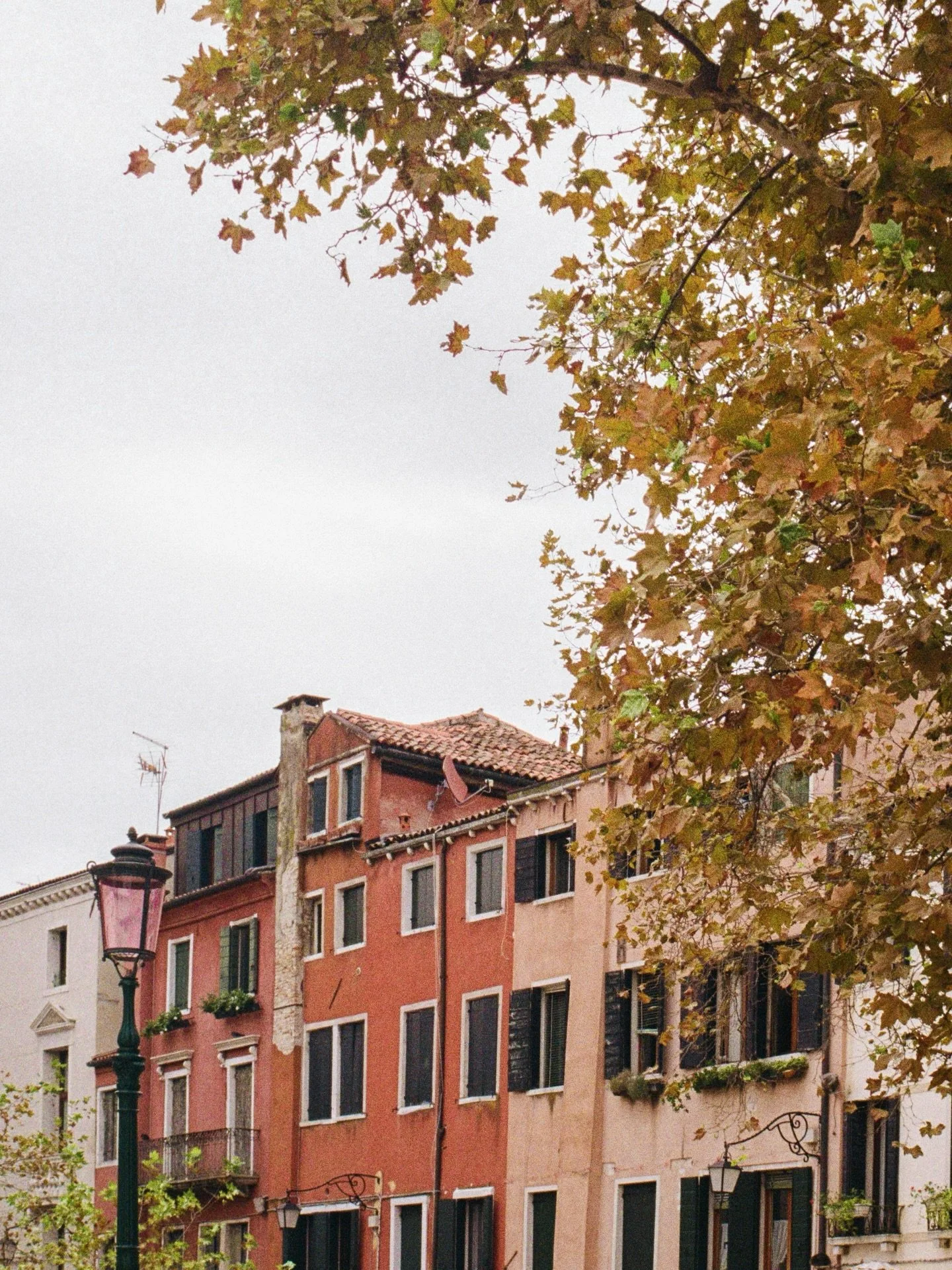 the honey, chestnut &amp; golden tones of Venice in September 🌰🍯
.
.
.
.
.
.
.
.
.
.
.
#venicephotographer #photovogue #veneziagram #mytinyatlashello #35mmfilmphoto