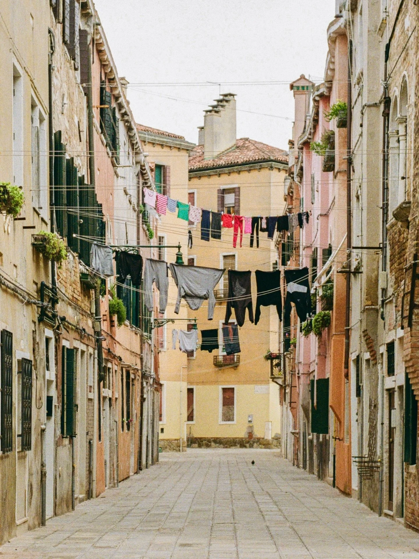 washing lines &amp; electrical lines
.
.
.
.
.
.
.
.
.
.
.
#venicephotographer #photovogue #veneziagram #mytinyatlashello #35mmfilmphoto