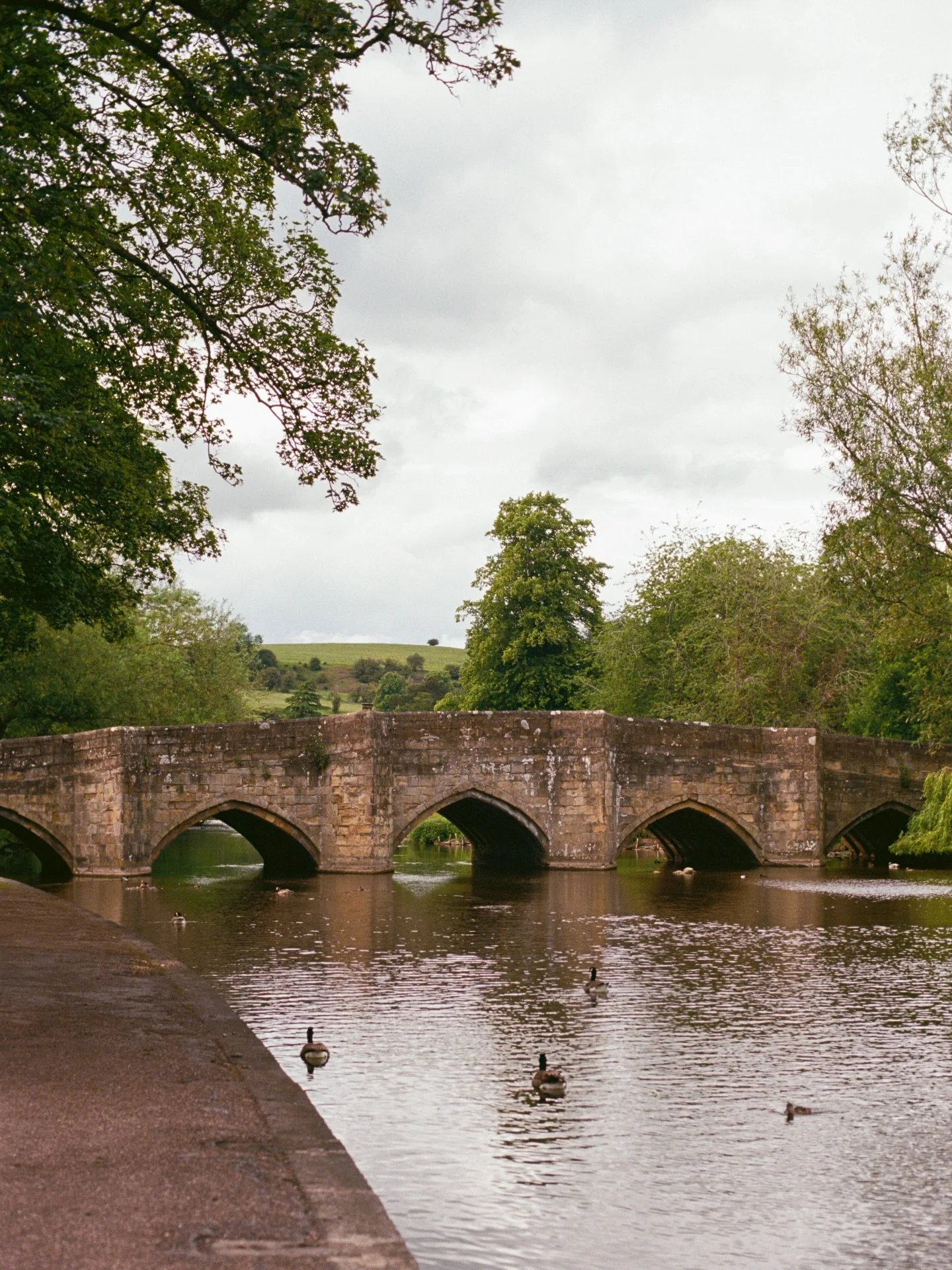 a postcard from pretty places in the Peak District 🦆
.
.
.
.
.
.
.
.
.
.
.
#countrysidelife #peakdistrictnationalpark #peakdistrictphotography #derbyshire #countrysideliving
