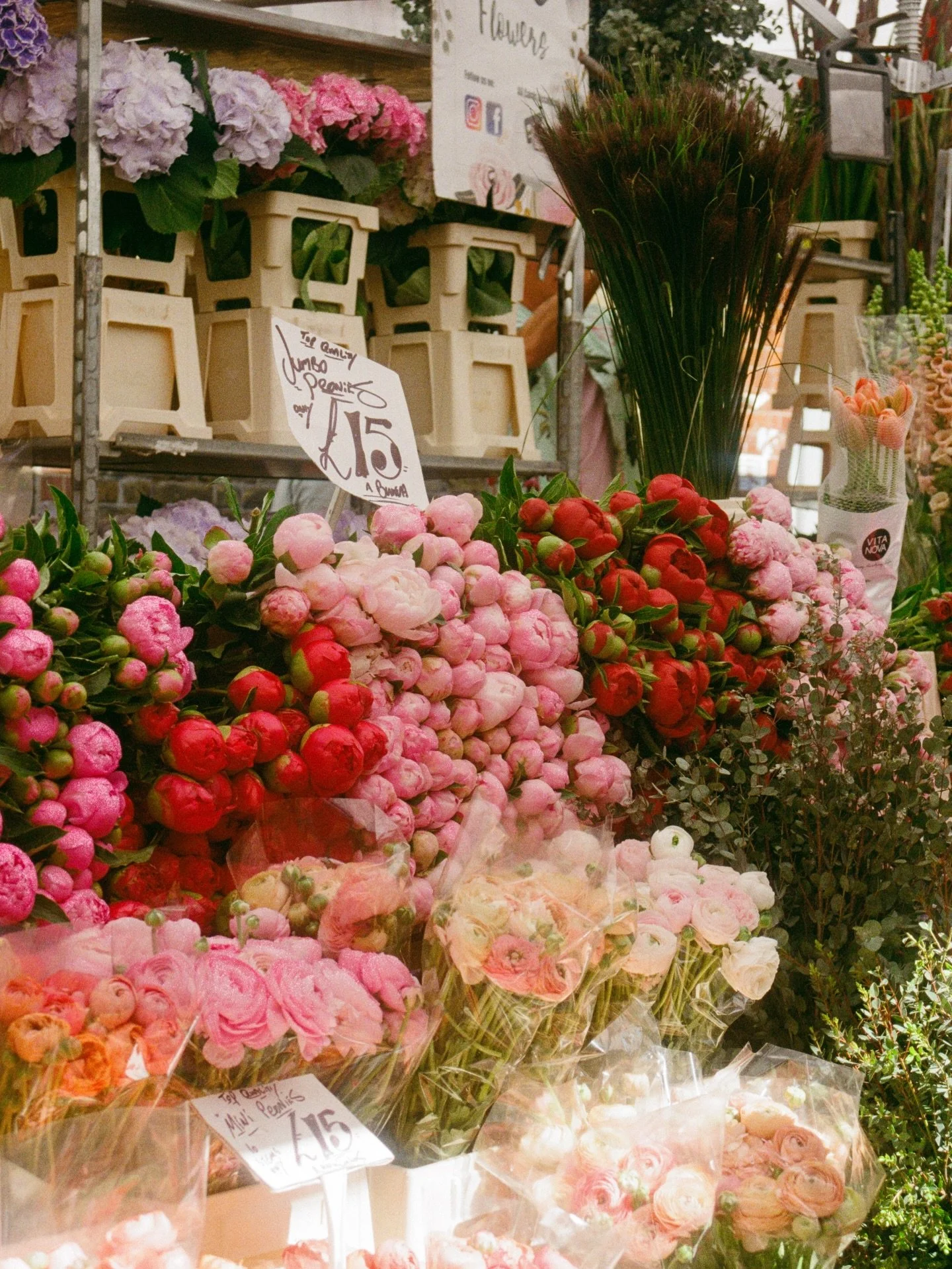 shopping for flowers on the Columbia Road 💐
.
.
.
.
.
.
.
.
.
.
.
.
.
#mytinyatlashello #columbiaroad #springflower #flowerphotos #35mmfilmphoto