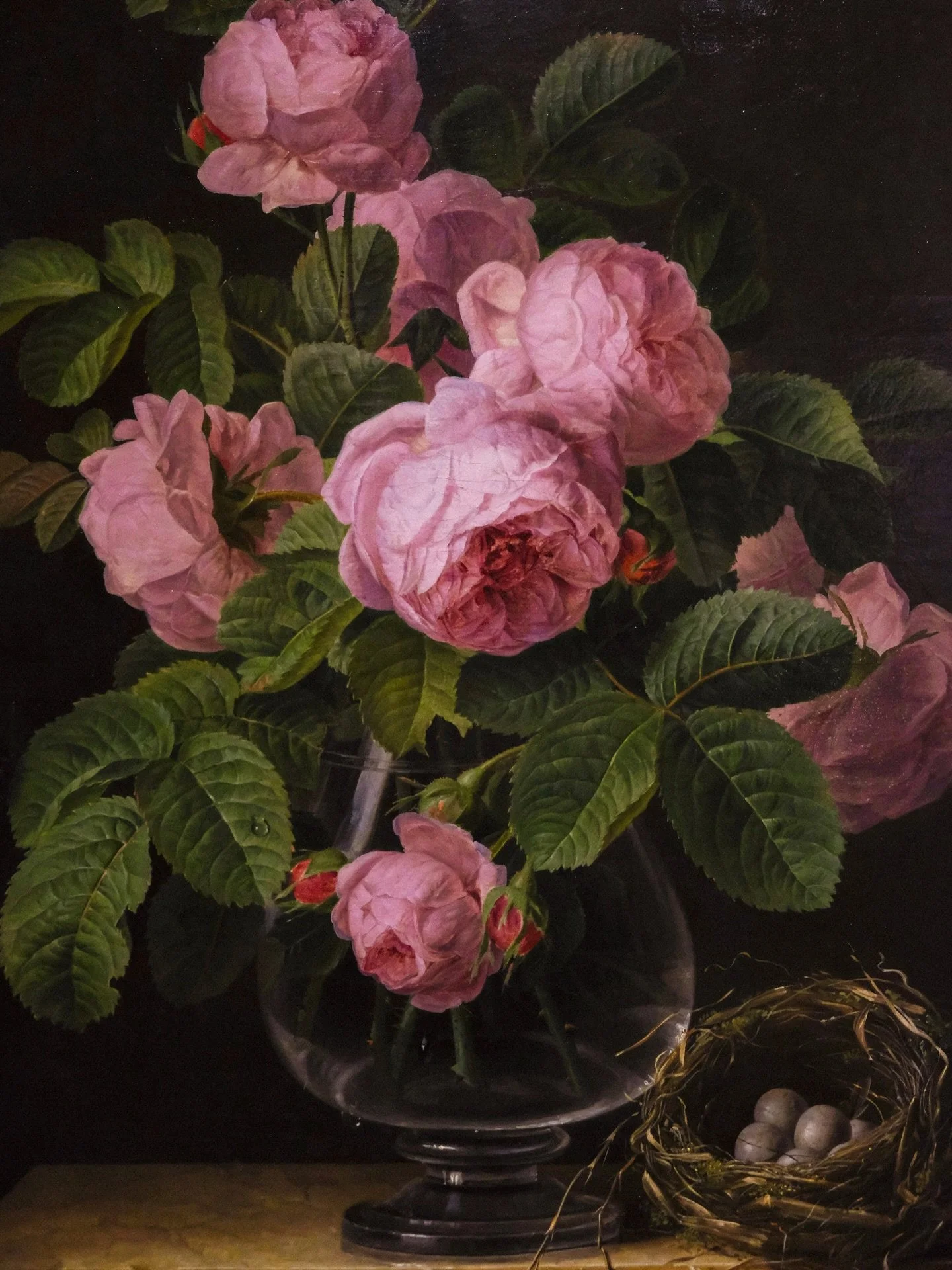 precious pink peonies 🩷
.
.
.
.
.
.
.
.
.
.
.
.
.
.
.
.
.
.
.
#amsterdamcity #stilllifephoto #paintingoncanvas #stilllifegallery #galleryexhibition