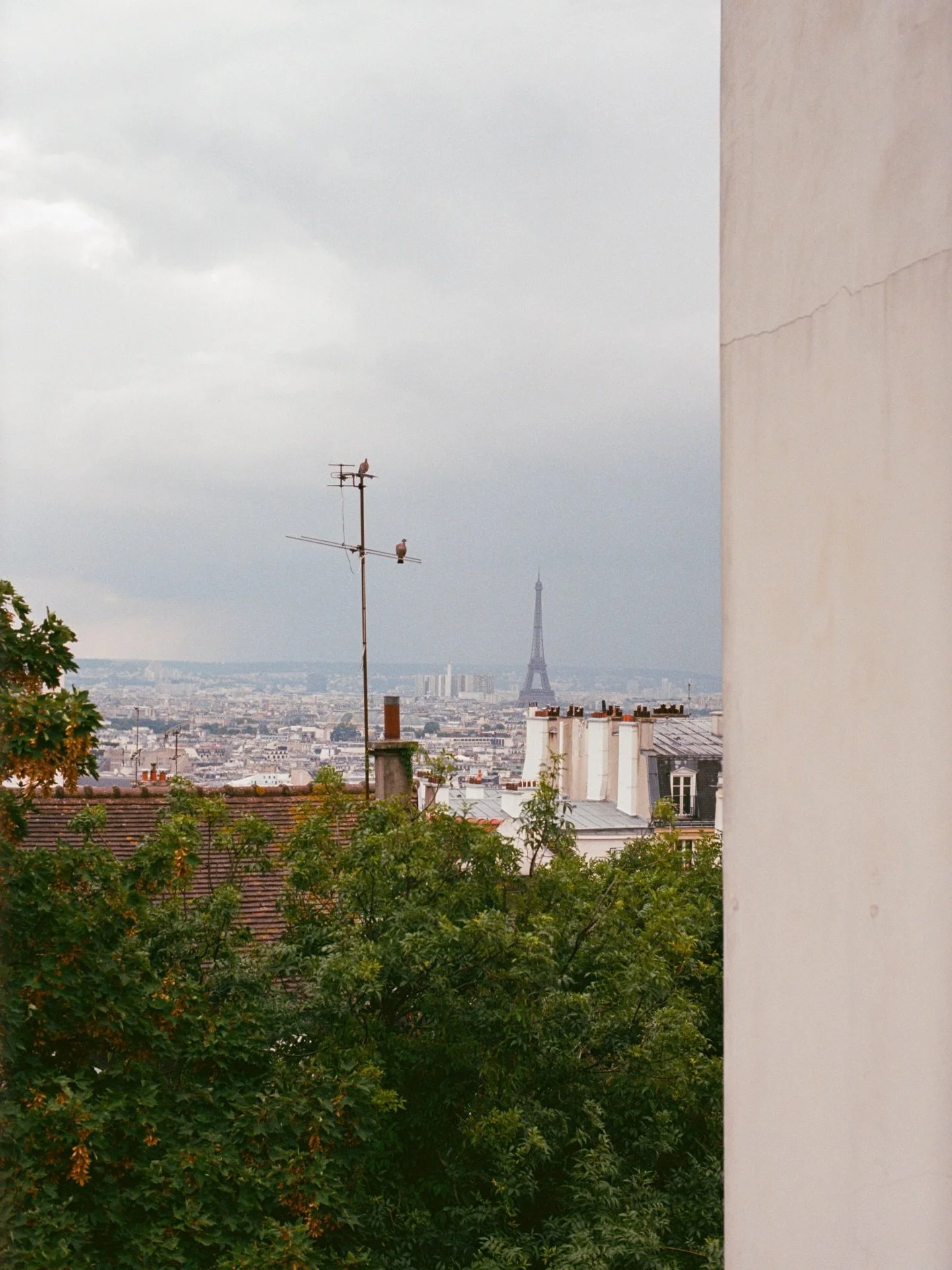 paris rooftops, pigeons &amp; eiffel views 🩶
.
.
.
.
.
.
.
.
.
.
.
#parisphotography #photovogue #parisphotographer #mytinyatlashello #35mmfilmphoto