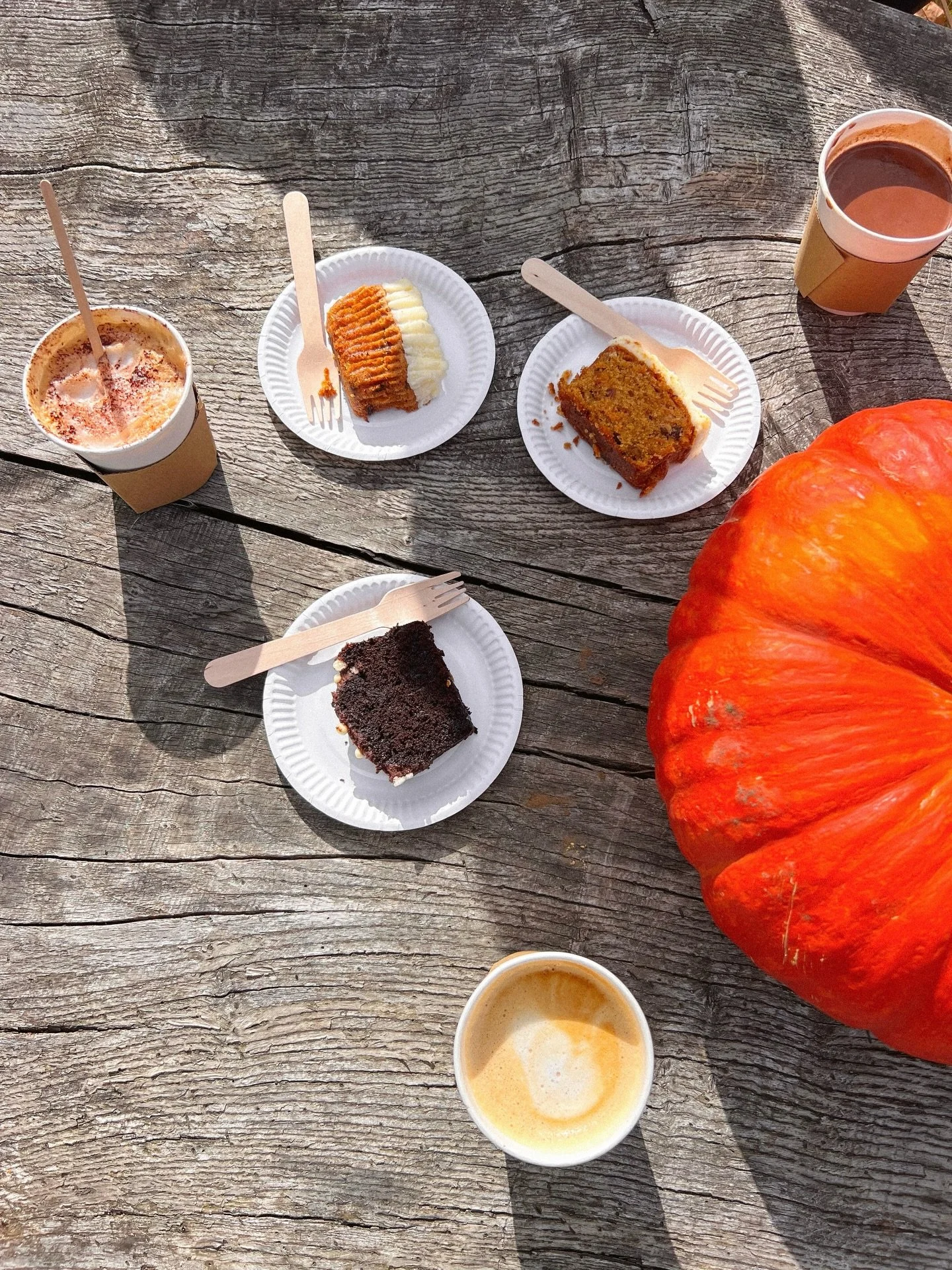 sunshine &amp; sugar 🧡
.
.
.
.
.
.
.
.
.
.
.
.
.
#cafephotography #lunchwithaview #countrysidephotography #countrysideliving #countrysidelife