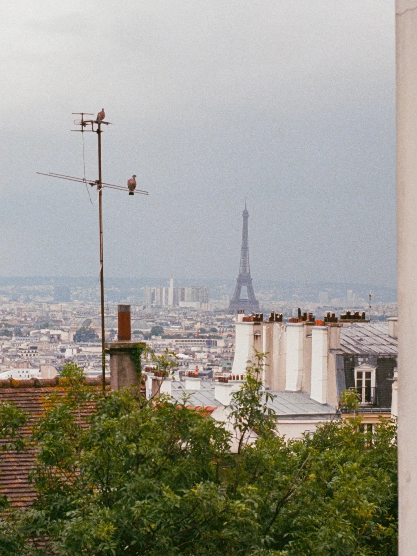 you can&rsquo;t beat the views from montmartre of the eiffel tower 🩶
.
.
.
.
.
.
.
.
.
.
.
#parisphotography #photovogue #parisphotographer #mytinyatlashello #35mmfilmphoto