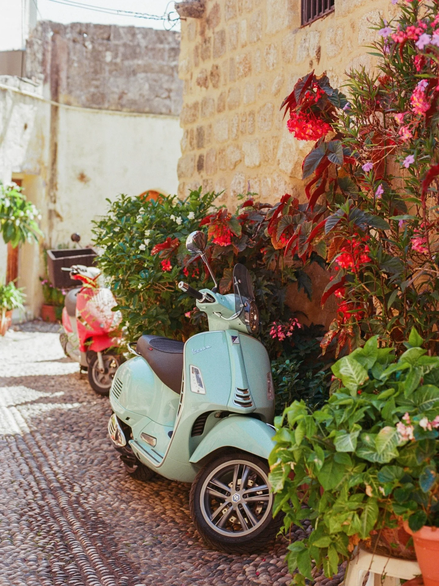 quaint corners of rhodes 🛵
.
.
.
.
.
.
.
.
.
.
.
#rhodesisland #oneearthmagazine #greece_moments #rodos #greecelover