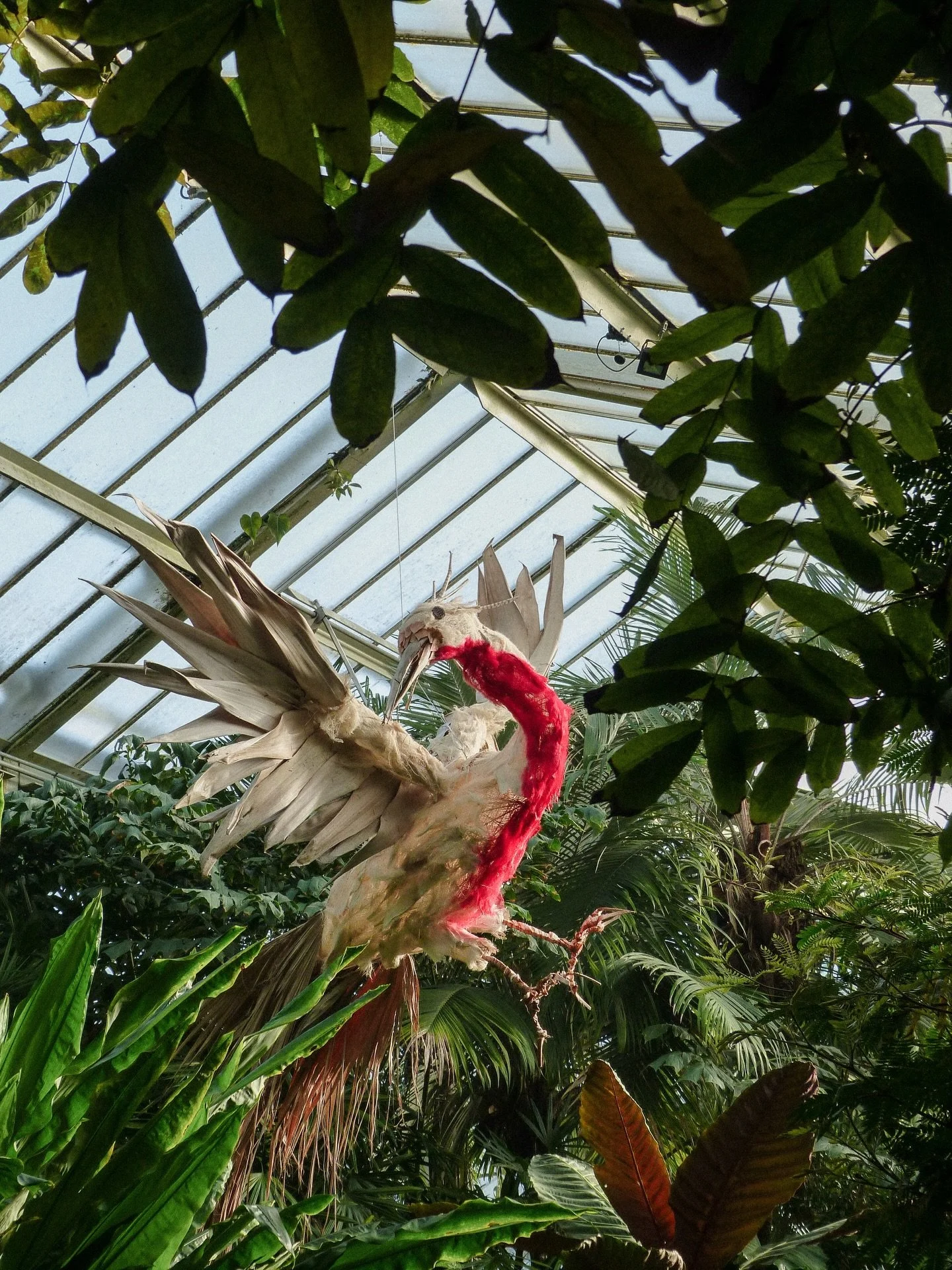we always love the amazing installations installed @kewgardens for their yearly orchid festival 🌿
.
.
.
.
.
.
.
.
.
.
.
.
.
#springhassprung #botanicalgarden #countrysidelife #gardenphotography #kewgardens